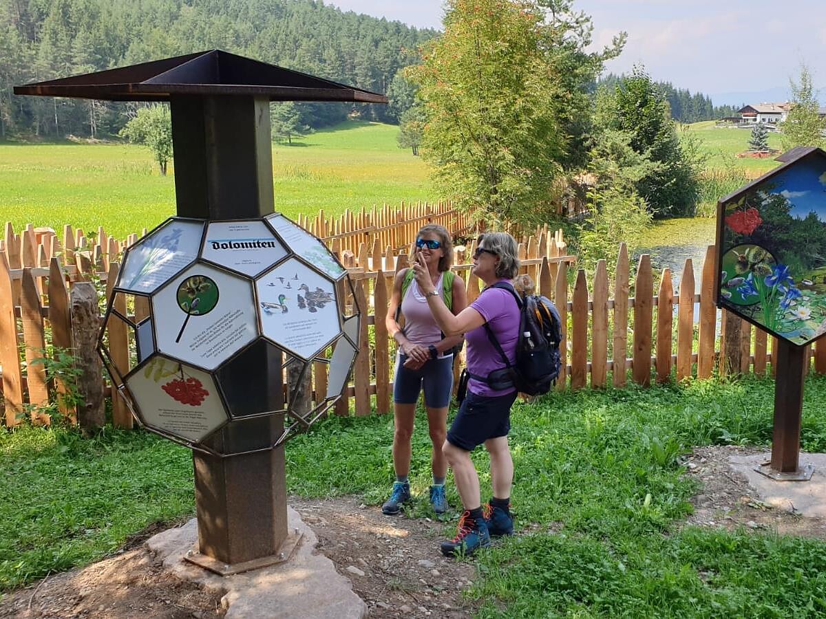 Abenteuer BienenWald - Auf den Spuren von Honig- und Wildbienen Karneid 2 suedtirol.info