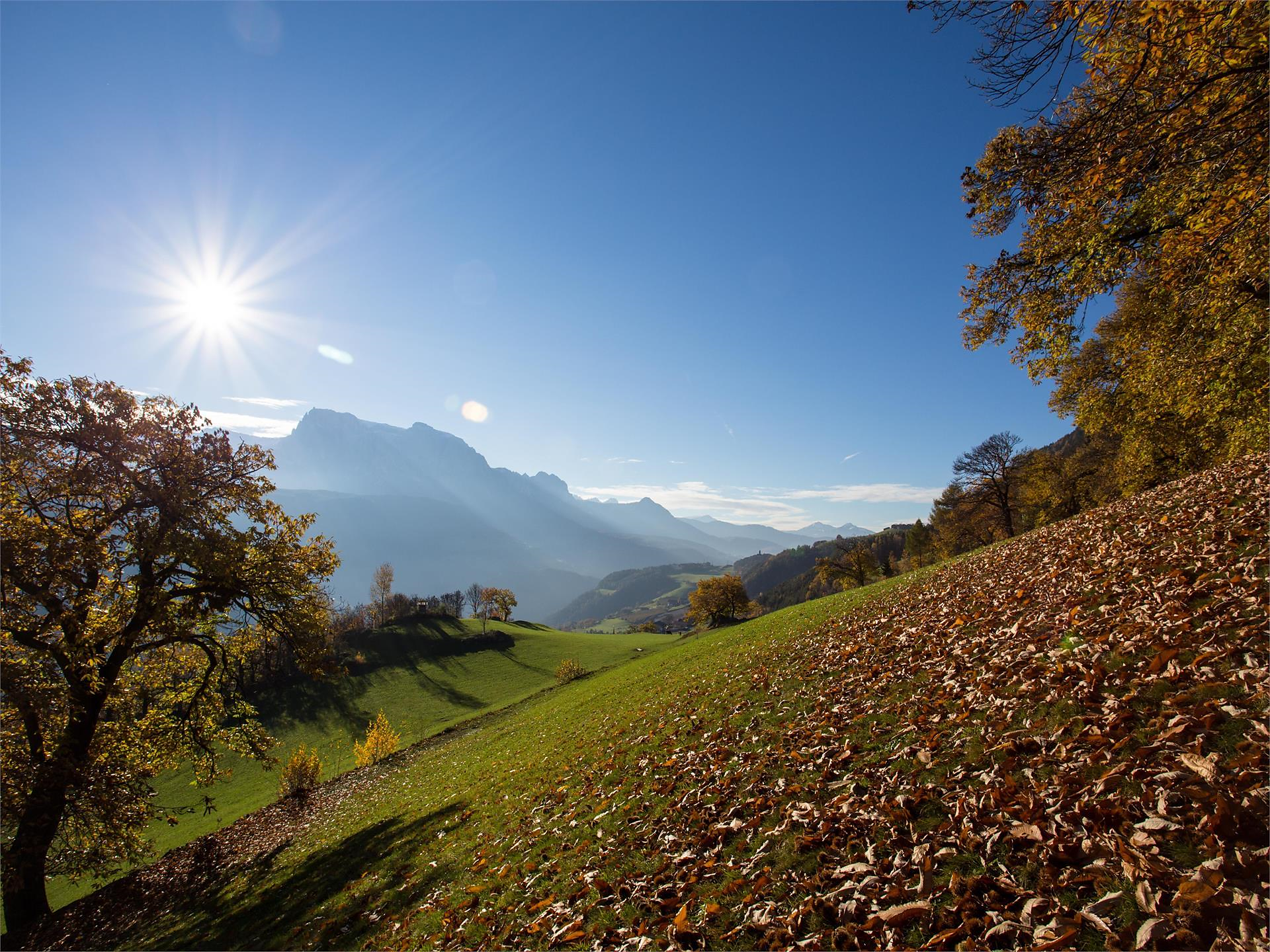 Geführte Herbstwanderung mit Einkehr beim "Oberweger" Barbian 1 suedtirol.info