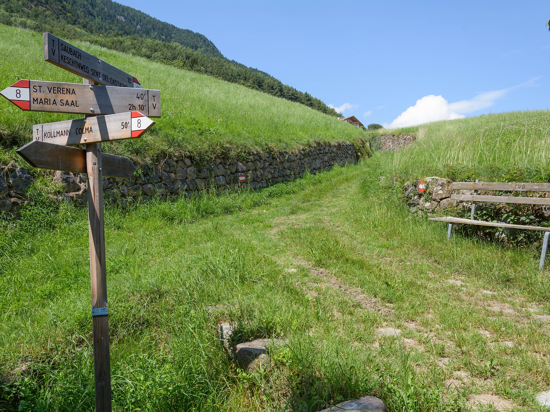 Geführte Herbstwanderung mit Einkehr beim "Oberweger" Barbian 2 suedtirol.info