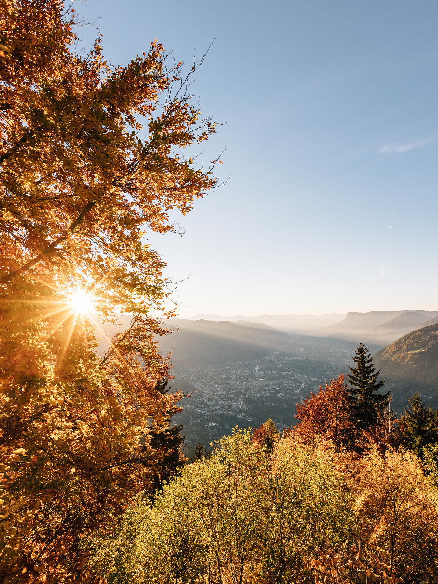 Escursione del Törggelen di Lagundo - Merano e dintorni - #1 - suedtirol.info