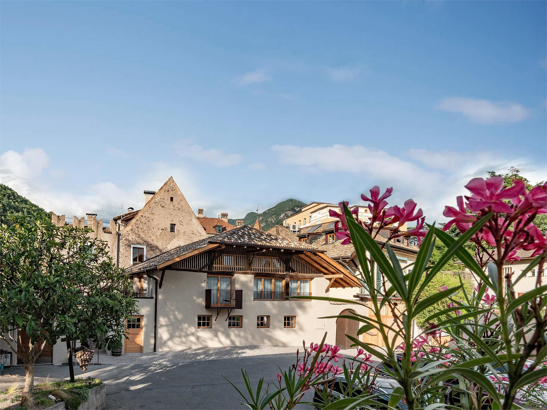 Anno 1363 - Weinkultur bei der ältesten Winzerfamilie der Stadt Bozen - Bozen und Umgebung - #1 - suedtirol.info