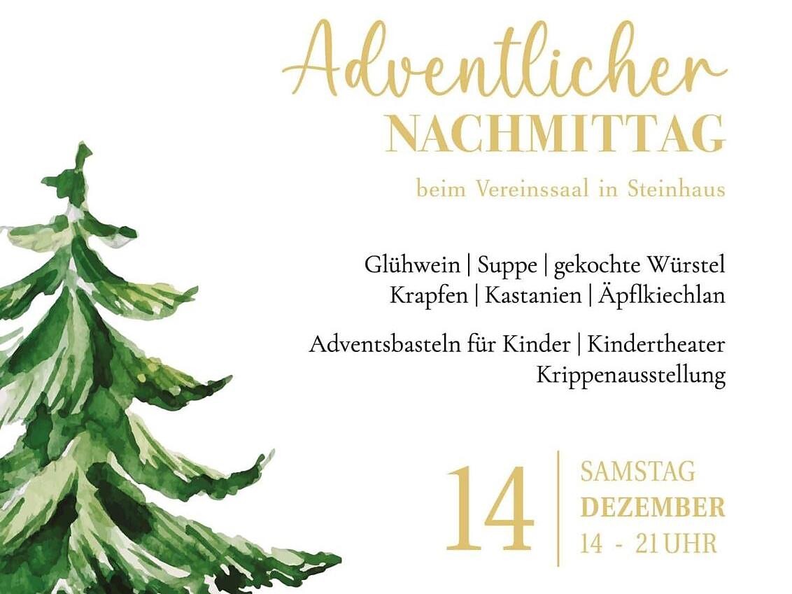 Advent in Steinhau/Ahrntal valley Ahrntal/Valle Aurina 1 suedtirol.info
