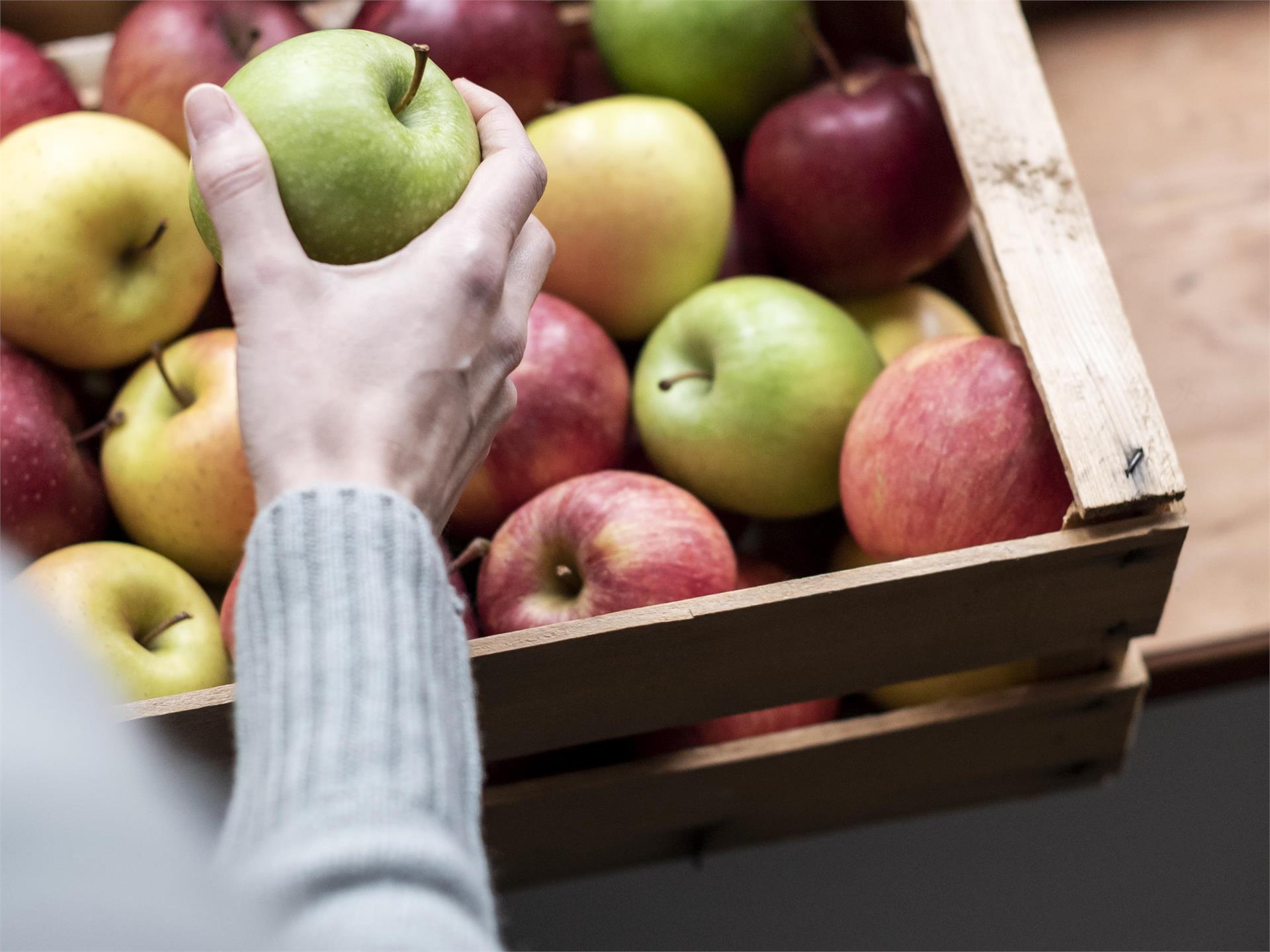 The apple festival Andrian/Andriano 3 suedtirol.info