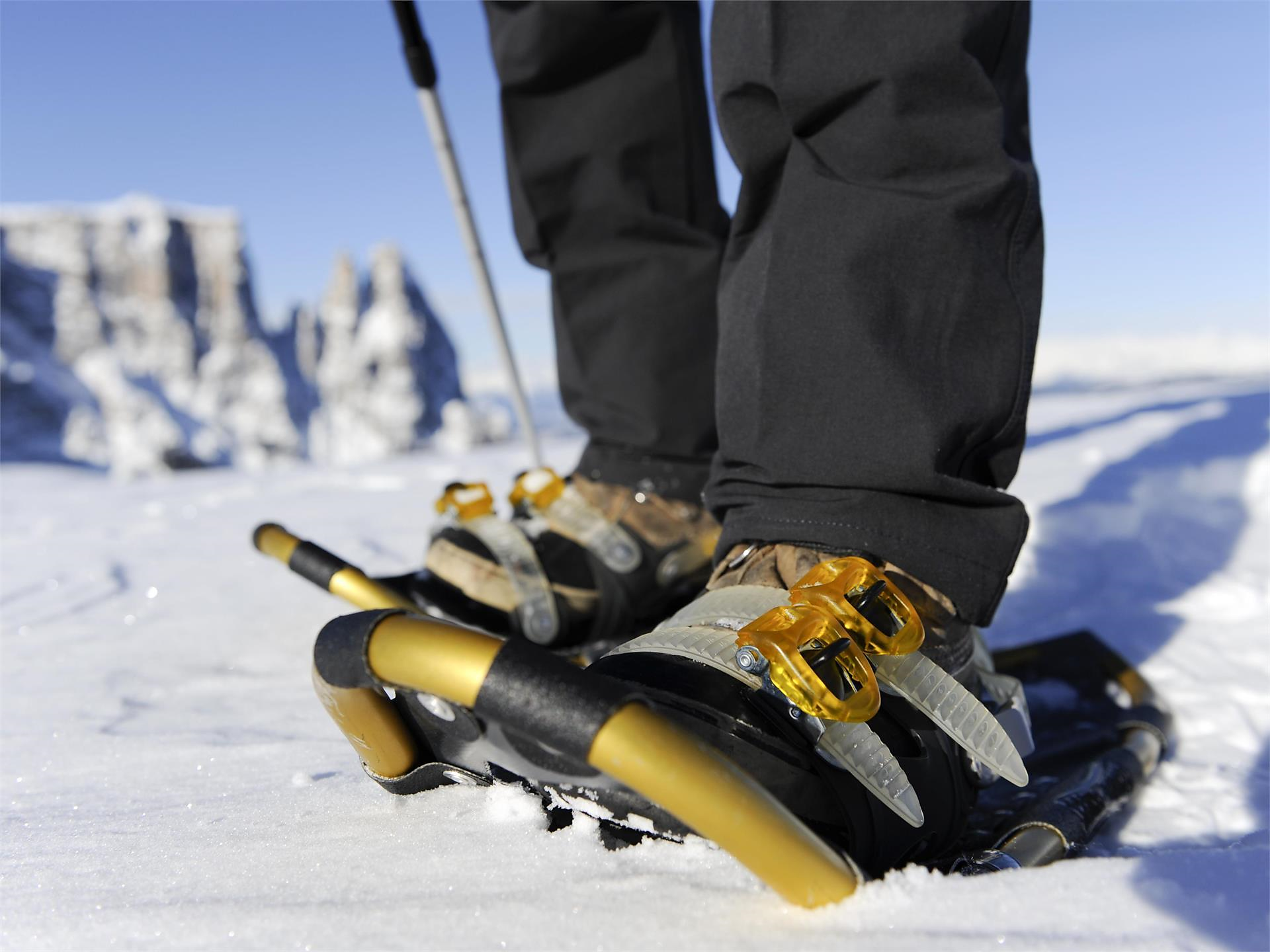 Active Day: Snowshoe Hike on the Seiser Alm - Dolomites Region Seiser Alm - #1 - suedtirol.info