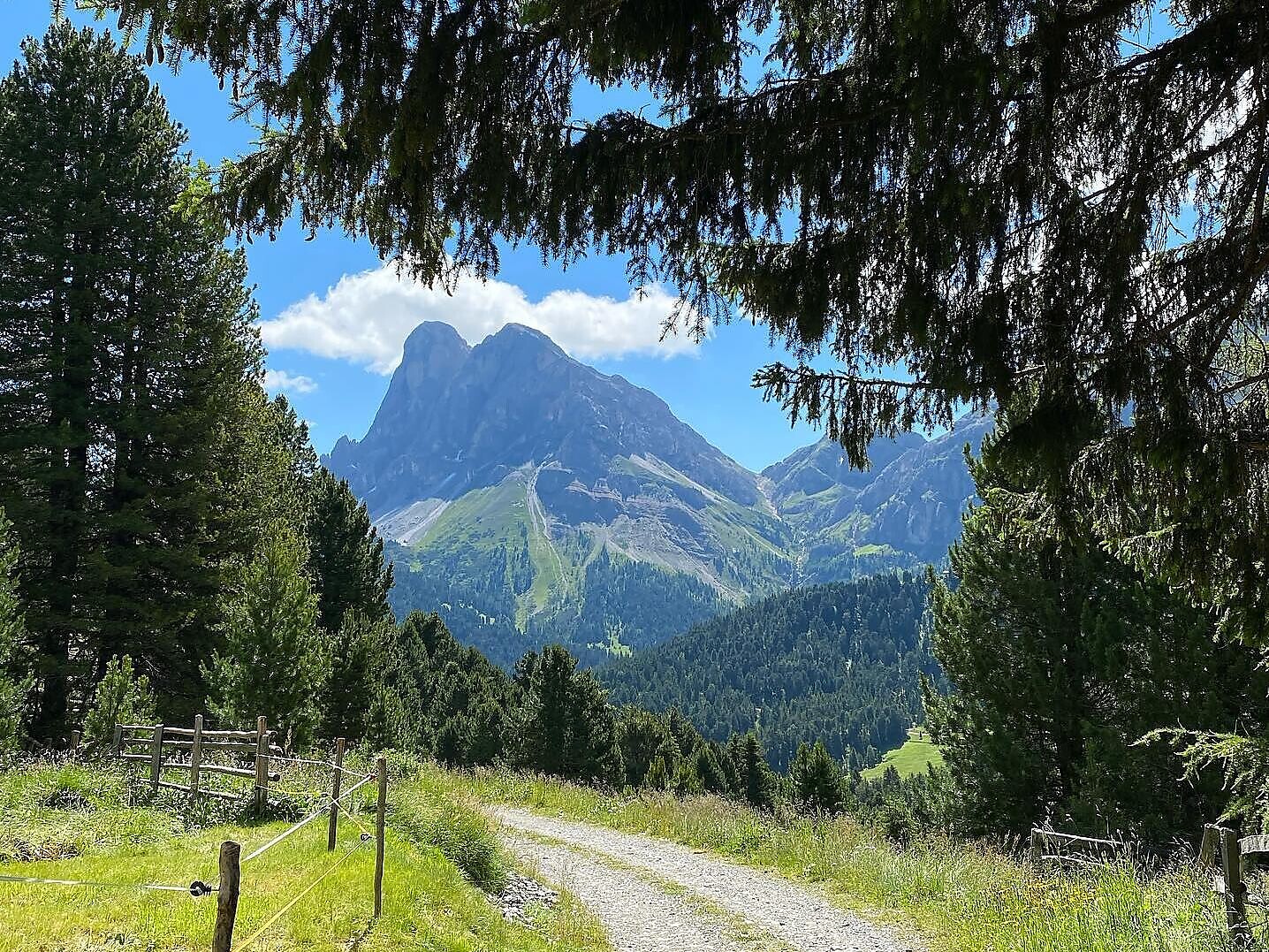 Escursione della consapevolezza sulla Via dei Cirmoli Luson 2 suedtirol.info