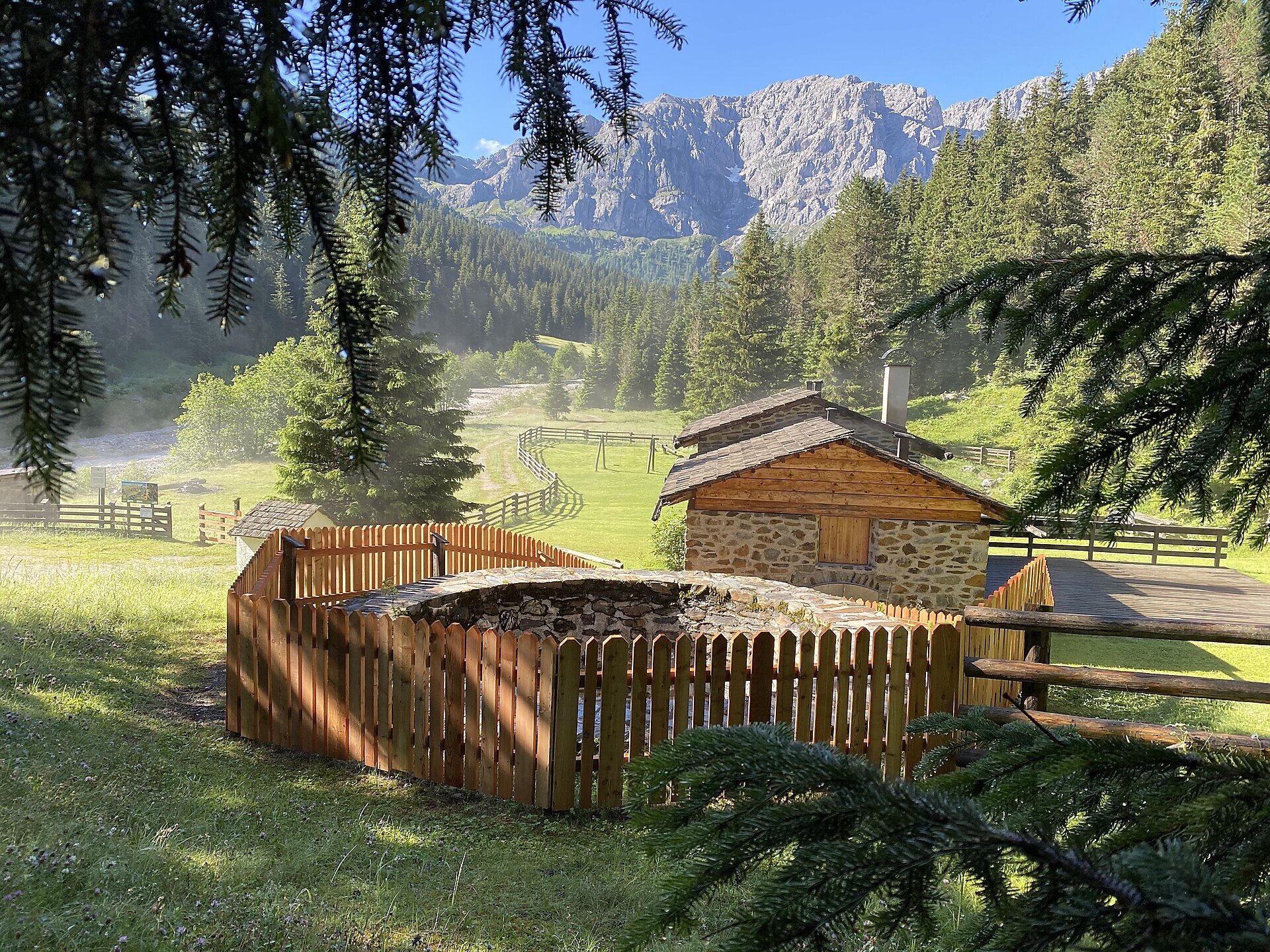 Escursione della consapevolezza sulla Via dei Cirmoli Luson 1 suedtirol.info