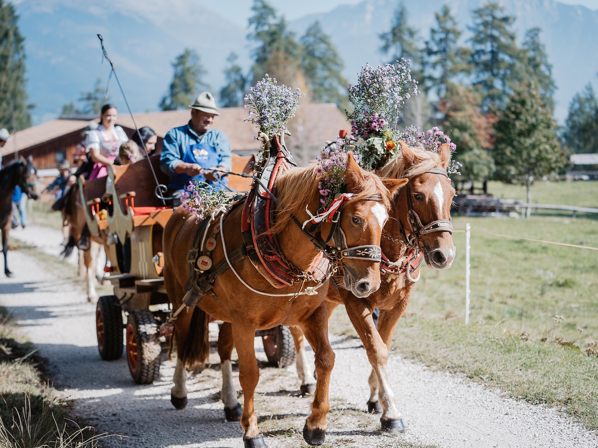 Desmontegada ad Anterivo Anterivo 1 suedtirol.info