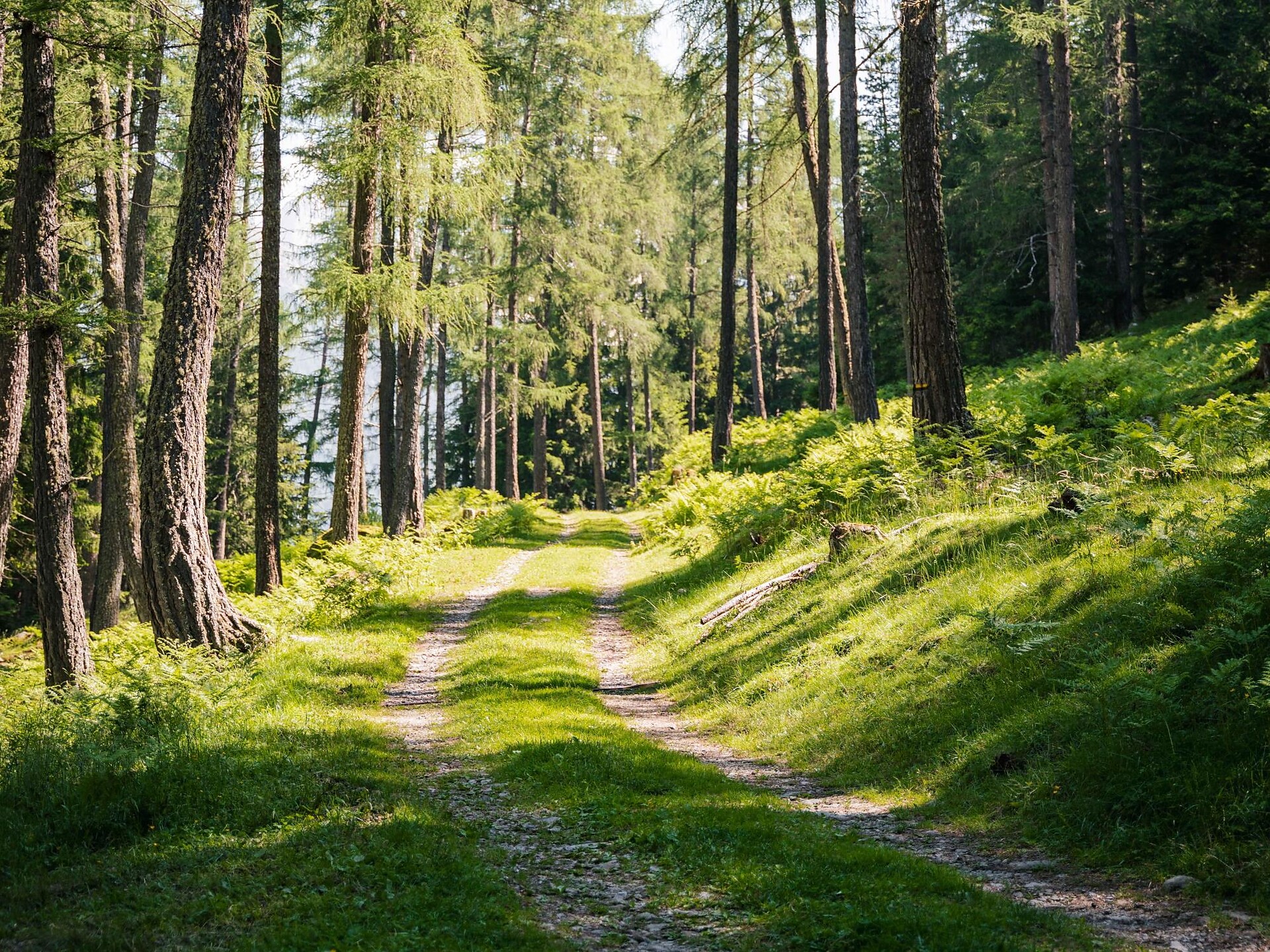 Trail Maintenance Action – Inspect, Secure, Maintain Rasen-Antholz/Rasun Anterselva 1 suedtirol.info