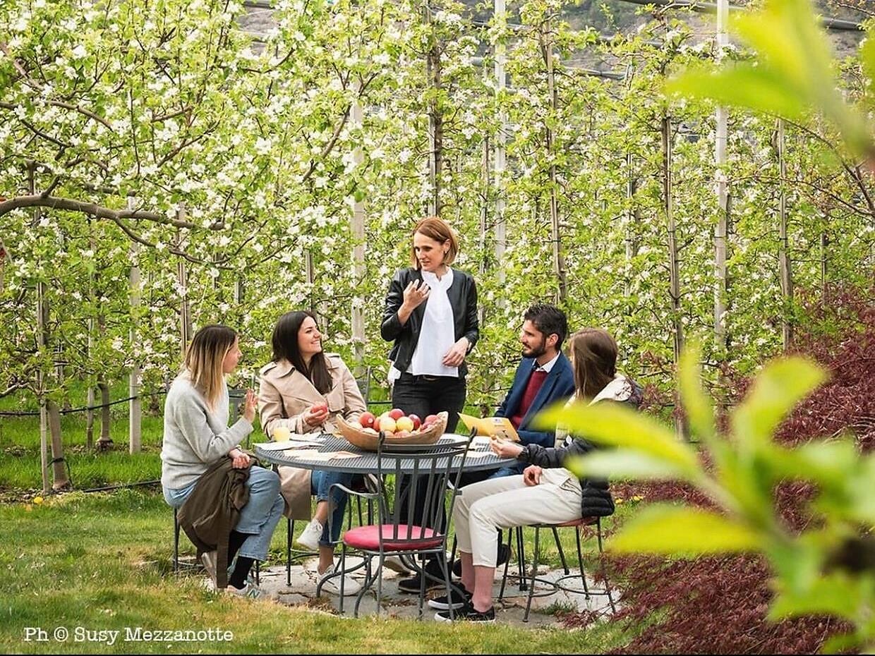 Apple tour through the apple meadows Naturns/Naturno 1 suedtirol.info