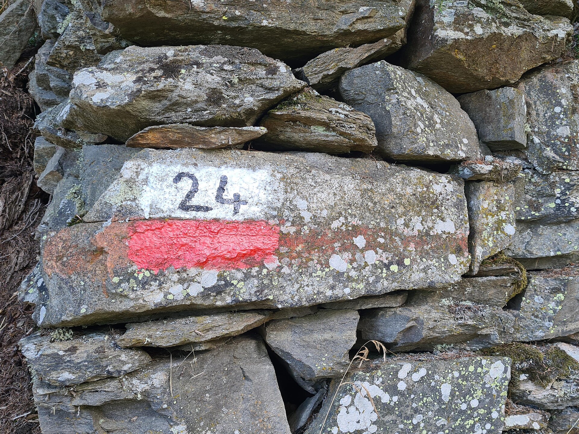 Auf historischen Pfaden: Jubiläumswanderung am Meraner Höhenweg Partschins 1 suedtirol.info