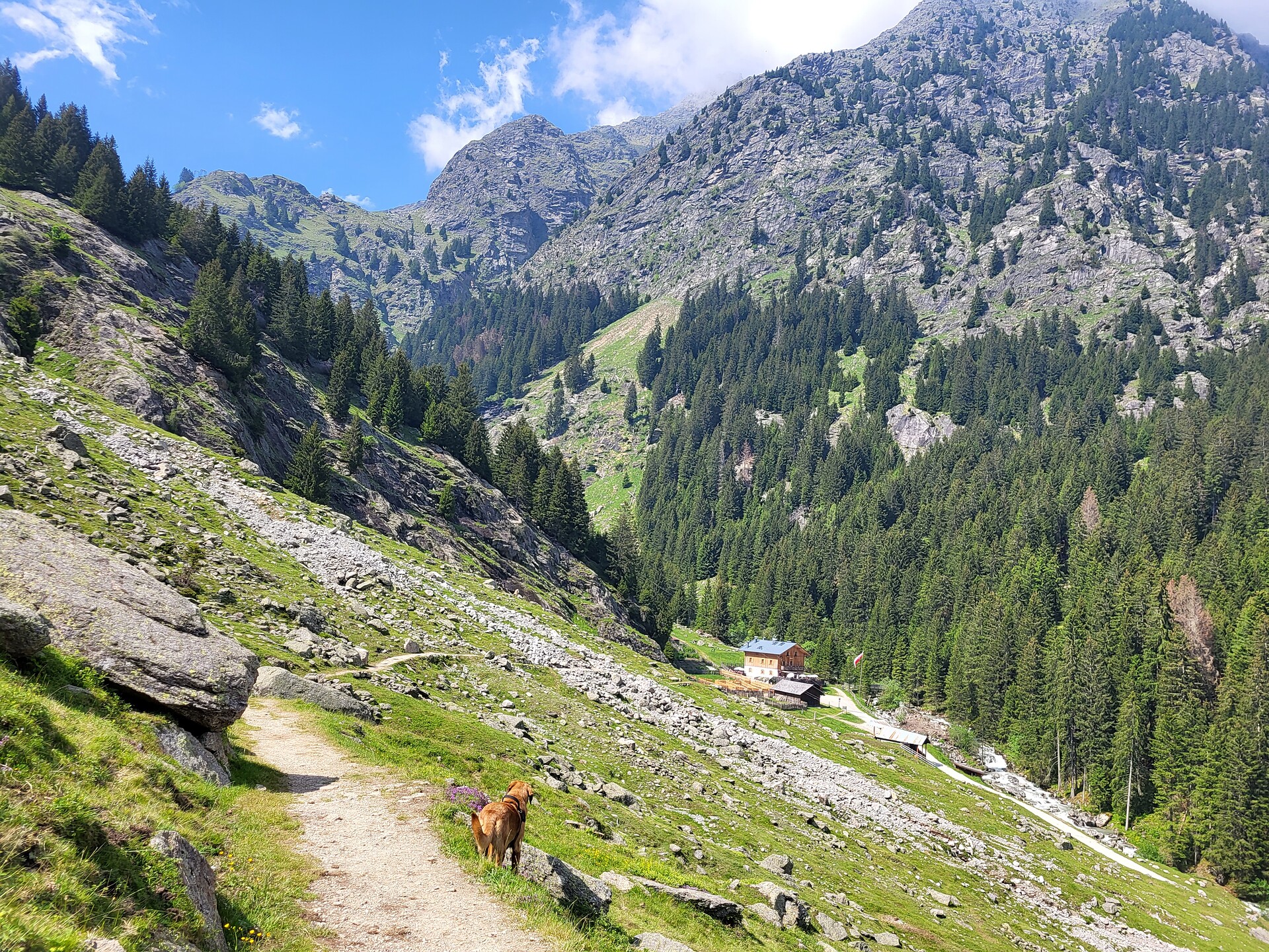 Auf historischen Pfaden: Jubiläumswanderung am Meraner Höhenweg Partschins 2 suedtirol.info