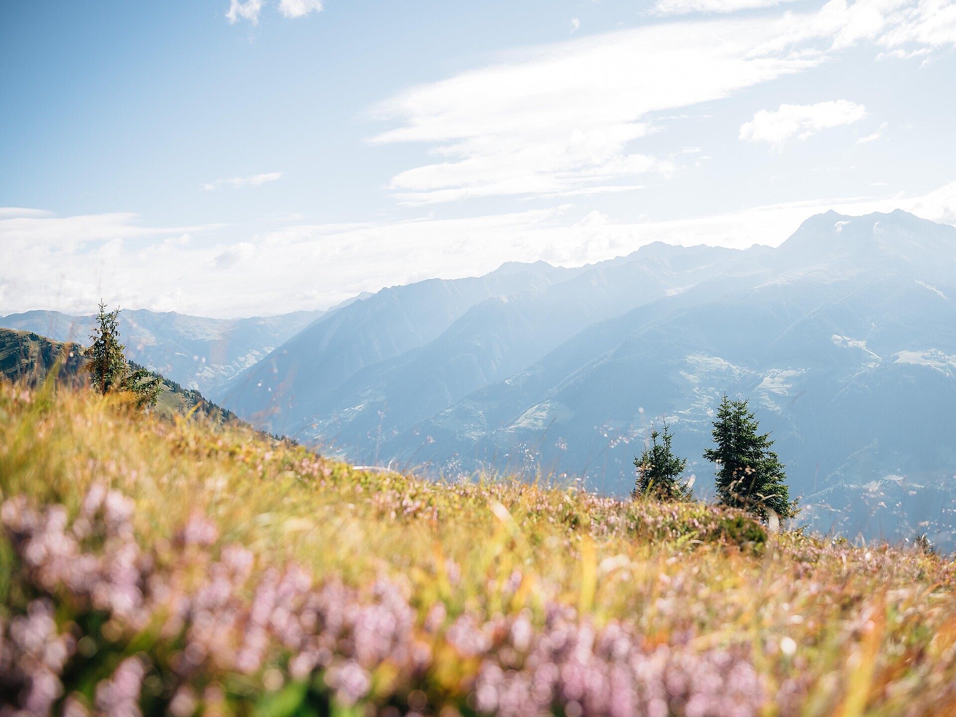 On ancient paths to the mountain farms in Gfeis-Vernuer Riffian/Rifiano 1 suedtirol.info