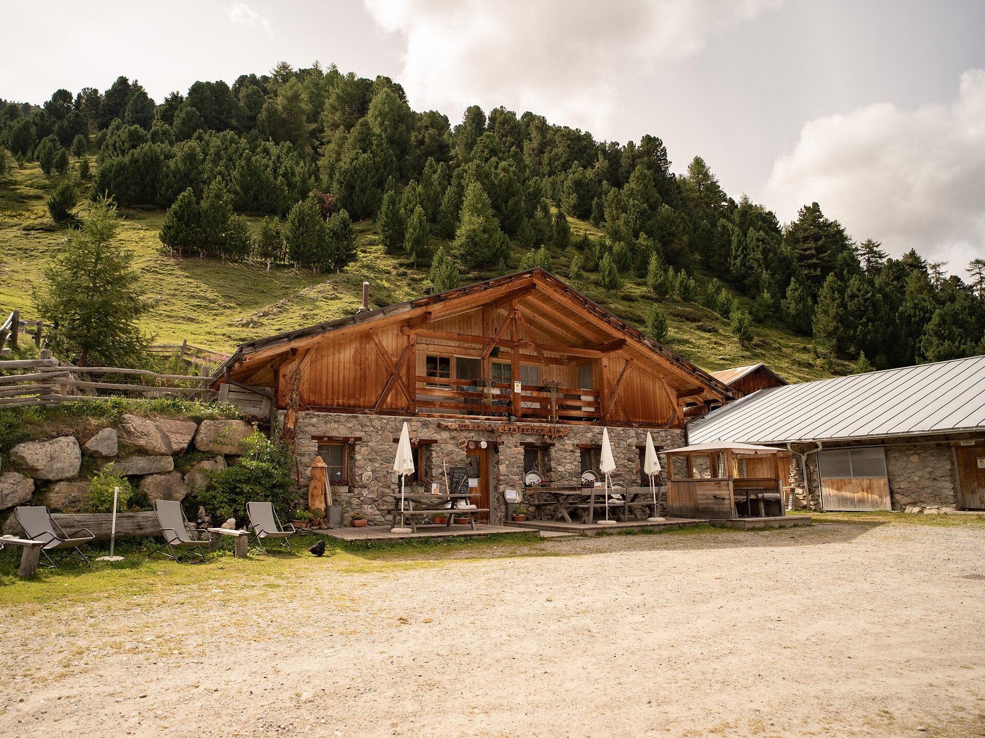 Alpine pasture festival with cheese cutting on the Laatscher Alm - Vinschgau/Val Venosta - #1 - suedtirol.info