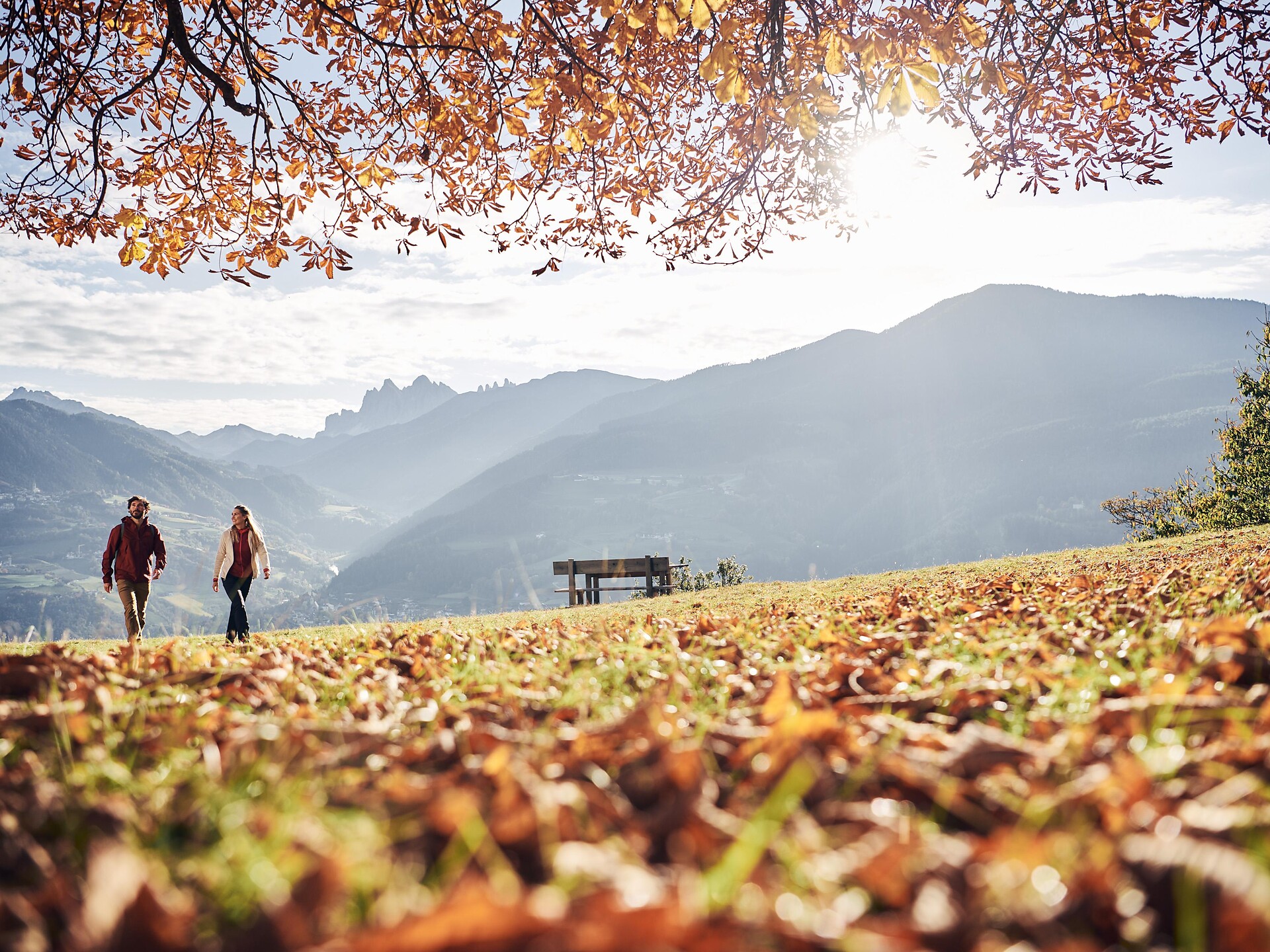 Autumn Hiking Days Tramin an der Weinstraße/Termeno sulla Strada del Vino 2 suedtirol.info