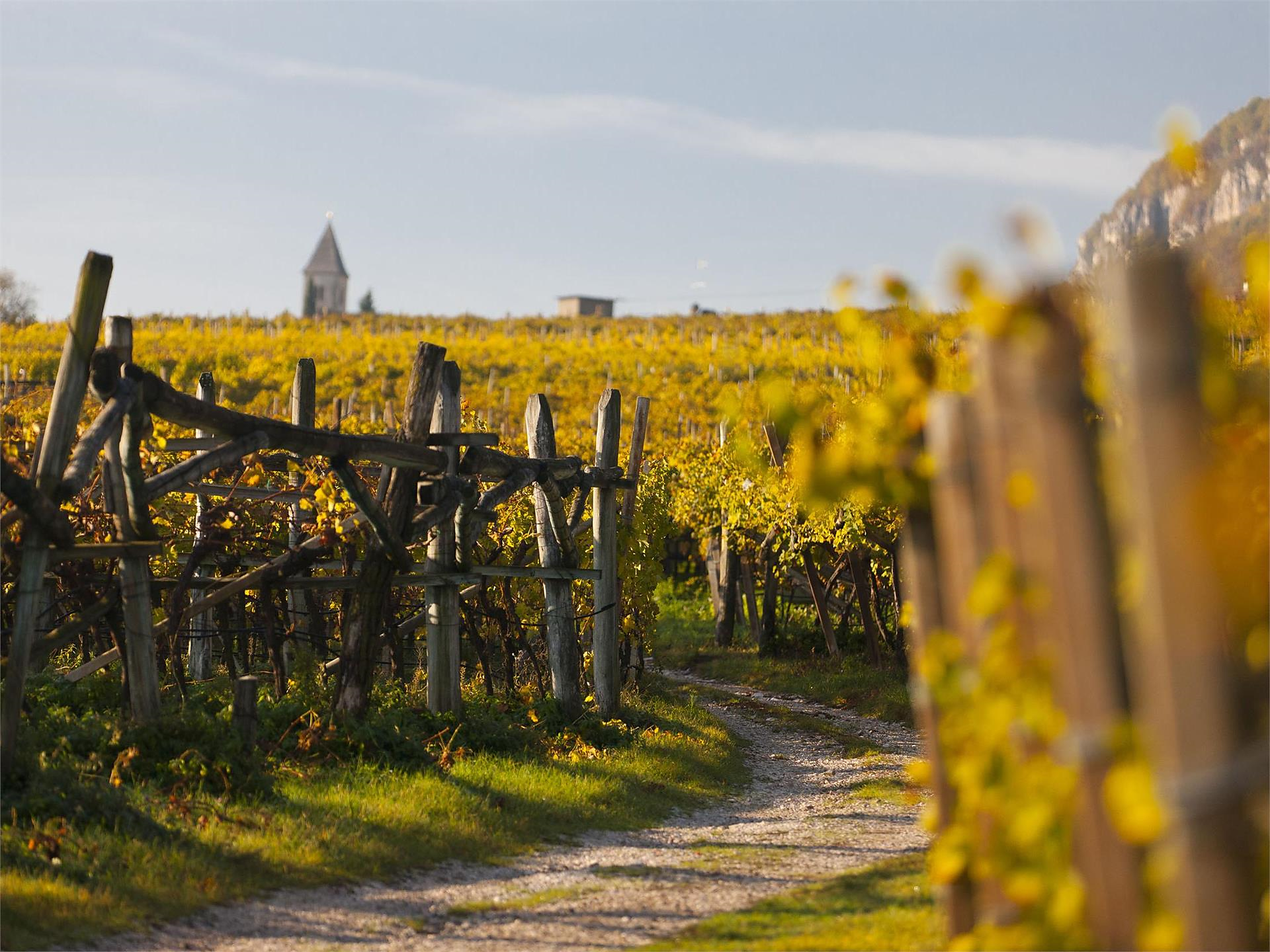 Autumn Hiking Days Tramin an der Weinstraße/Termeno sulla Strada del Vino 3 suedtirol.info