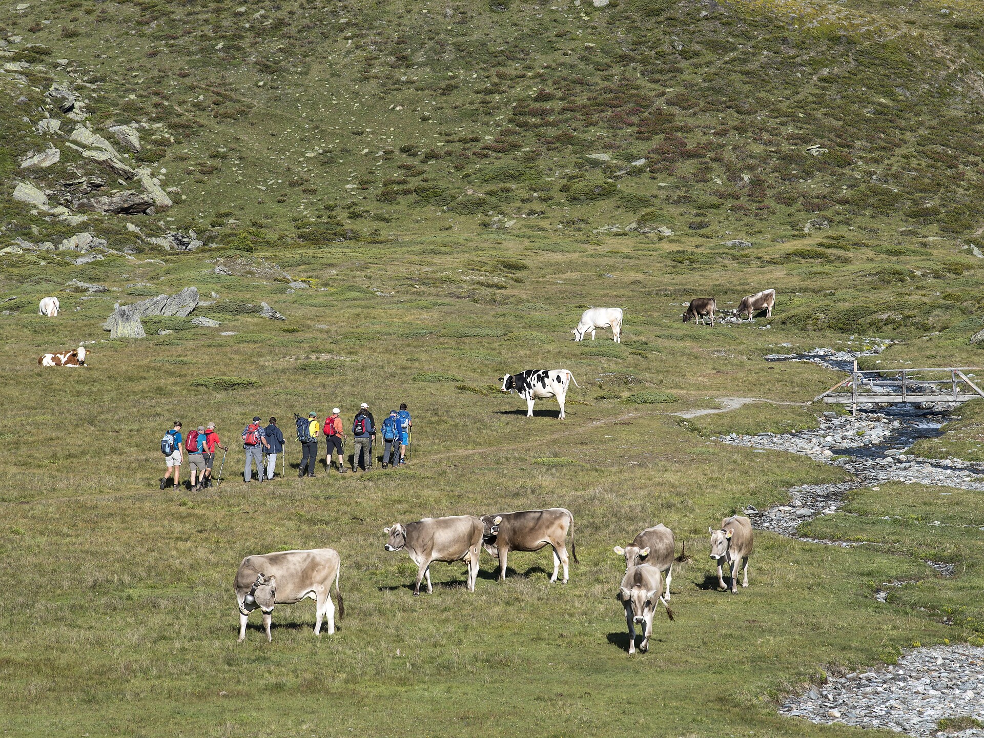 Almführung Martell 1 suedtirol.info