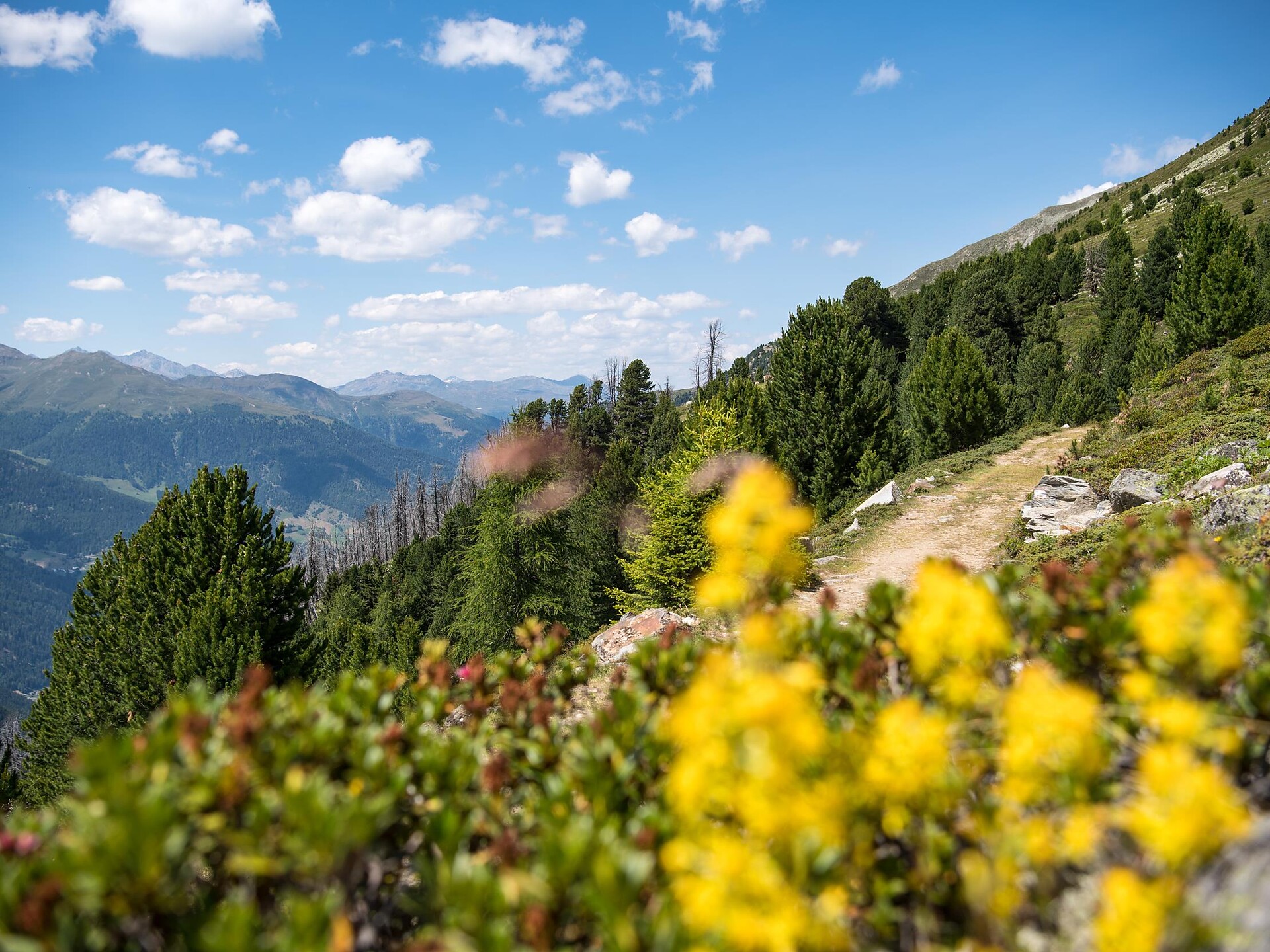 Auf alten Wegen durch den Nationalpark - Geführte Wanderung im Nationalpark - Vinschgau - #1 - suedtirol.info