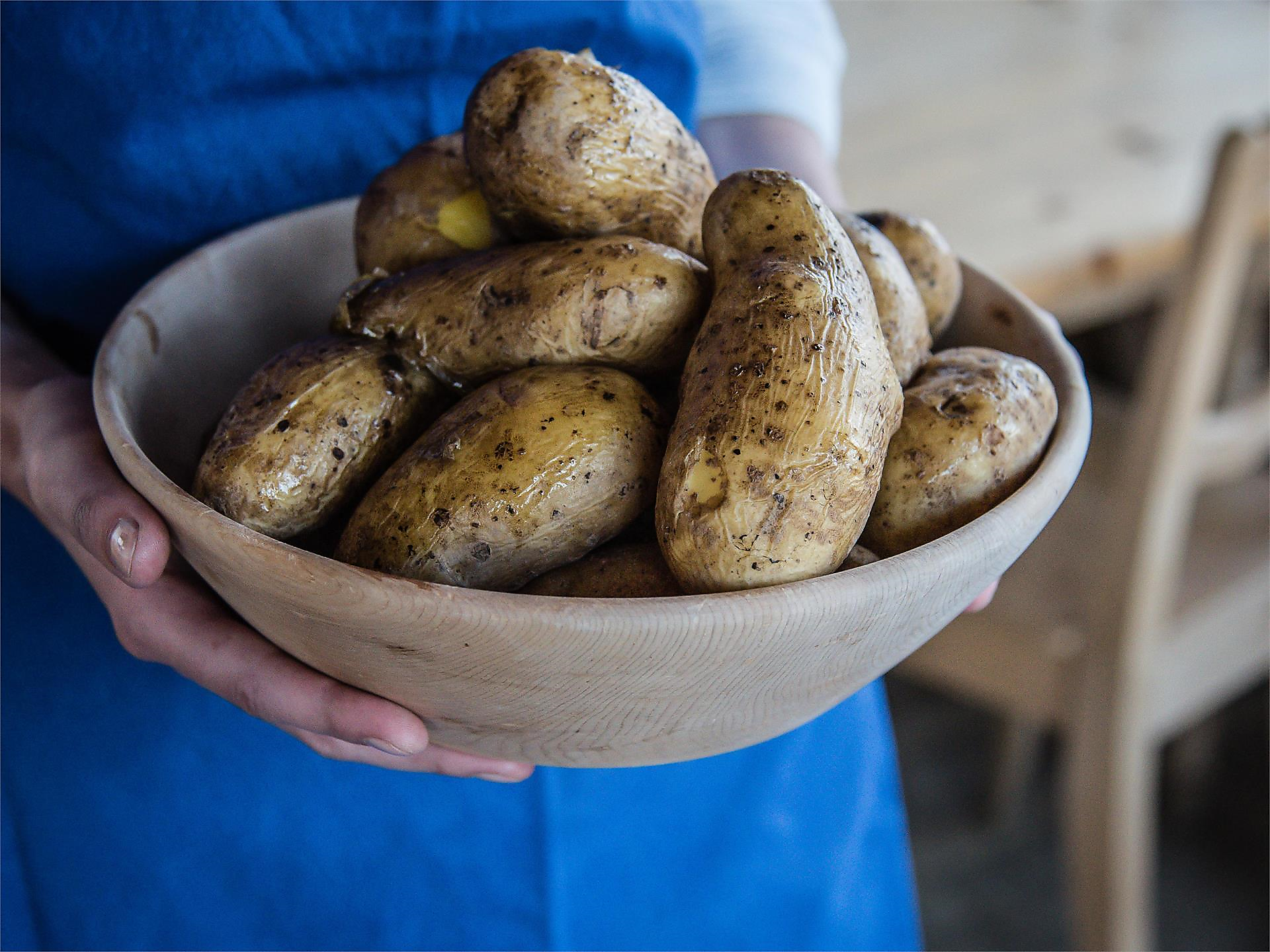 Beim Bauern zu Gast - Dolomitenregion 3 Zinnen - #2 - suedtirol.info