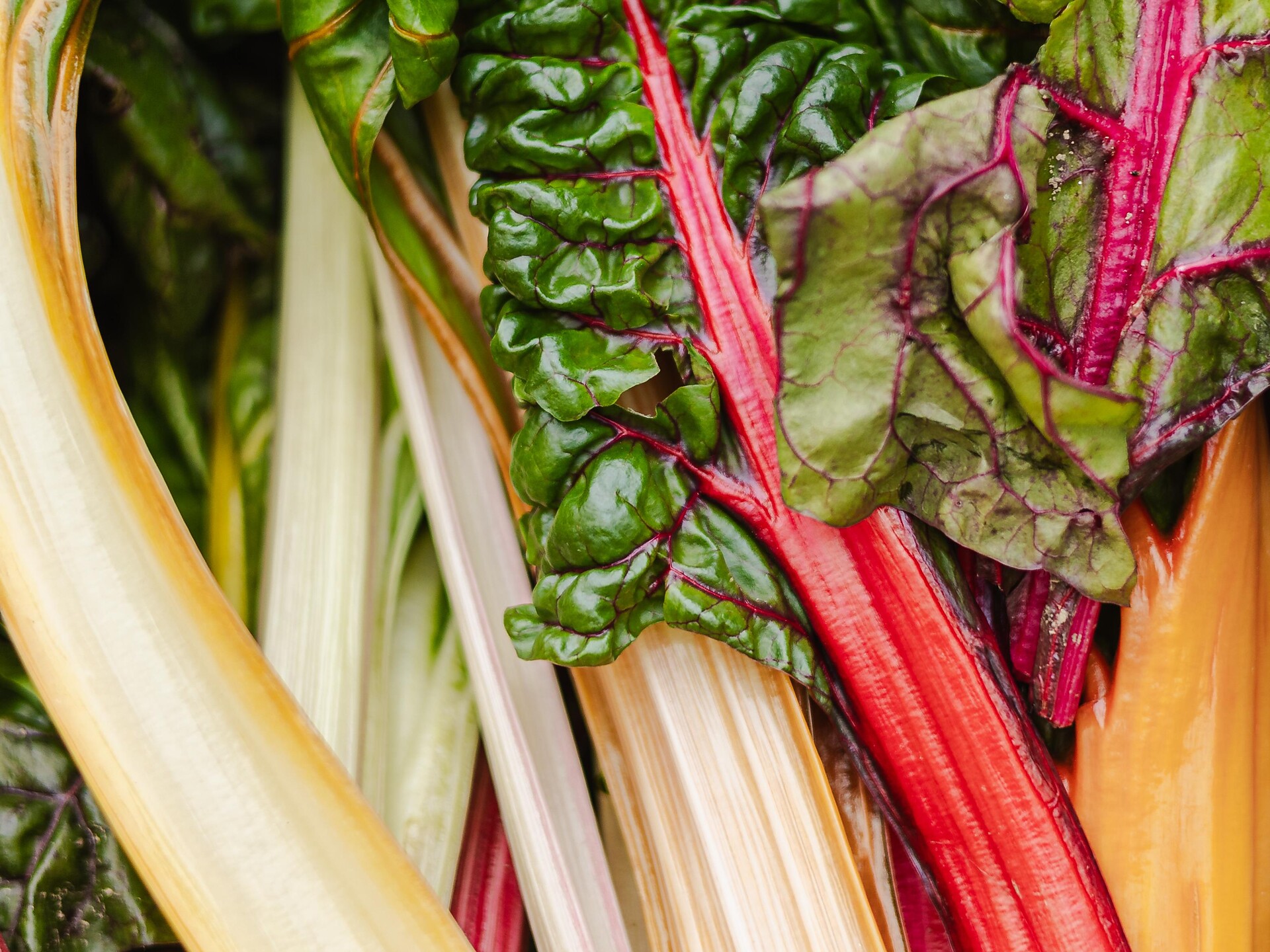 Beim Bauern zu Gast - Dolomitenregion 3 Zinnen - #3 - suedtirol.info