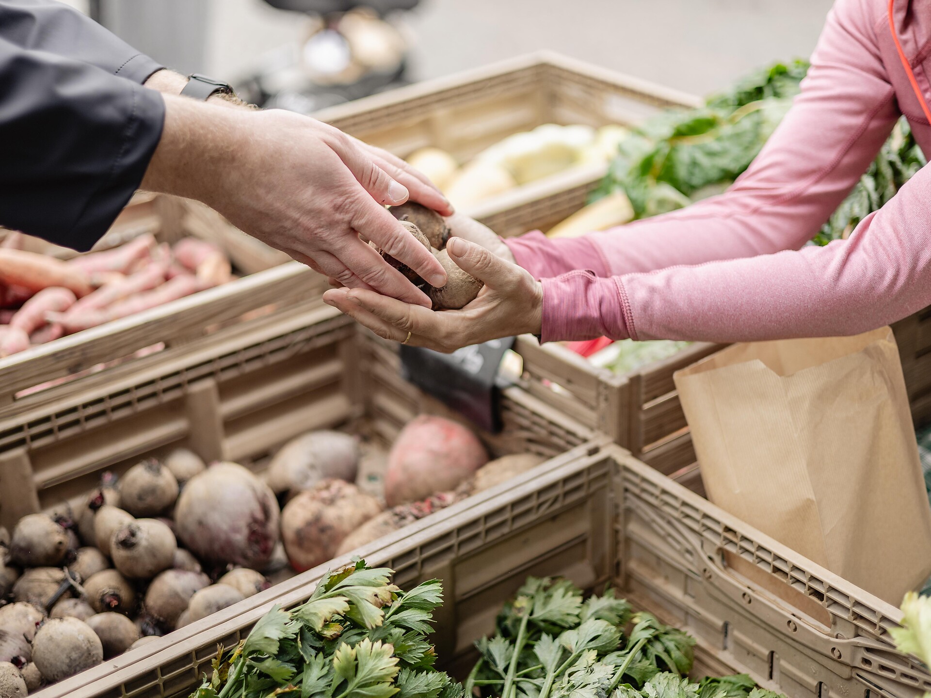 Beim Bauern zu Gast - Dolomitenregion 3 Zinnen - #1 - suedtirol.info