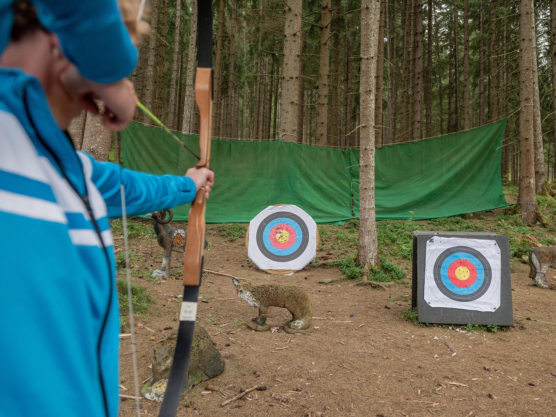 Tiro con l’arco nel percorso 3D - Regione dolomitica Plan de Corones - #2 - suedtirol.info