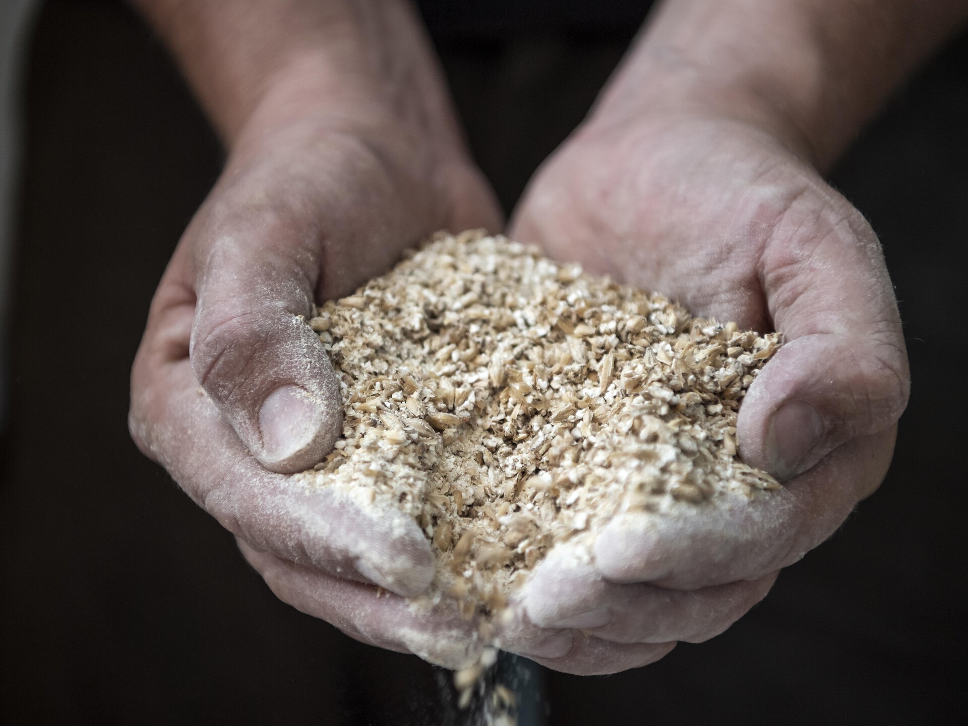 Brauereibesichtigung - Spezialbierbrauerei Forst - Meran und Umgebung - #2 - suedtirol.info