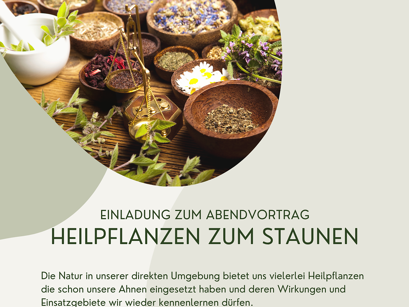 Abendvortrag "Heilpflanzen zum Staunen" - Ahrntal - #1 - suedtirol.info