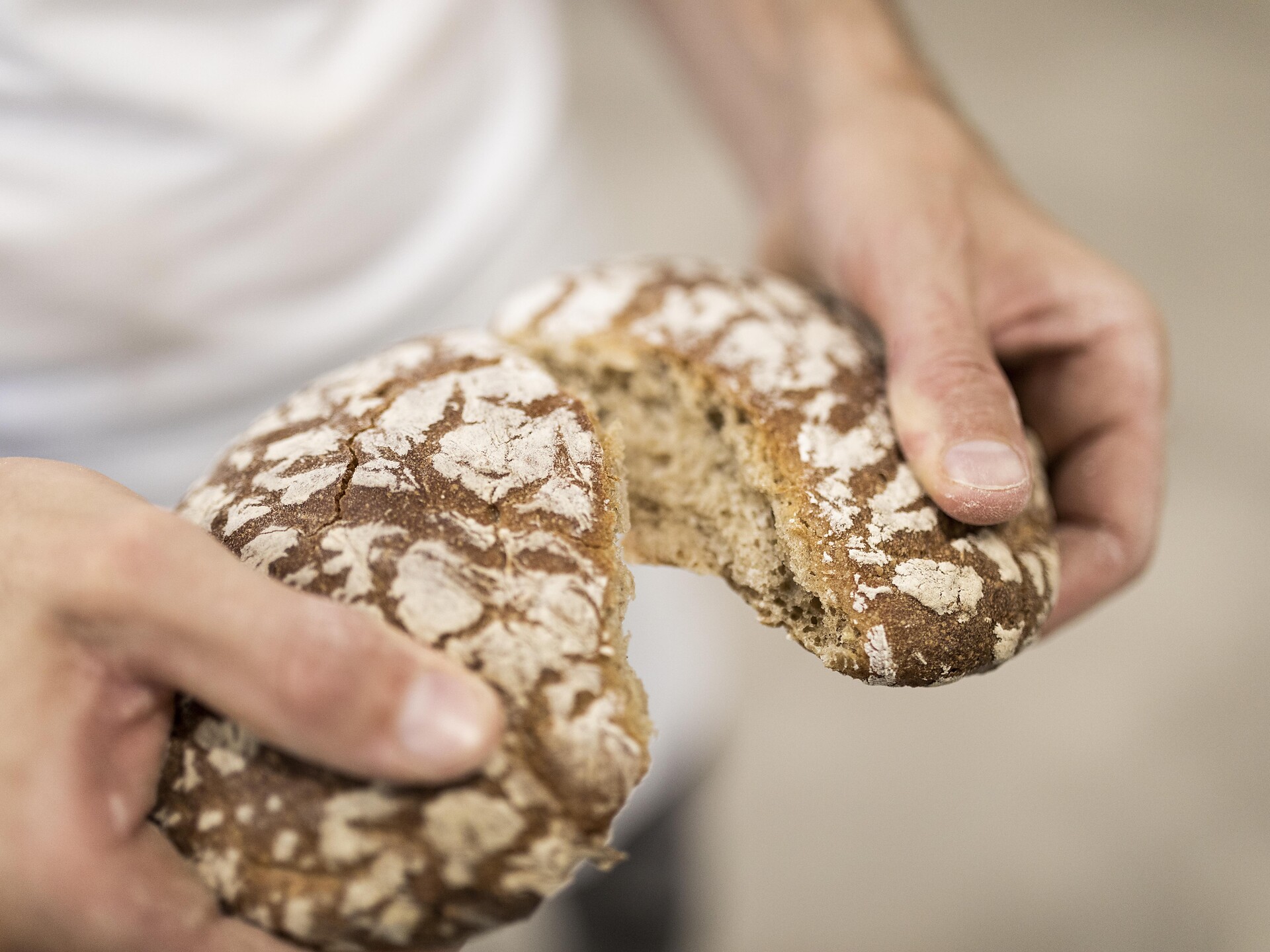 Brotbacken beim Tholerhof in Aschbach Algund 3 suedtirol.info