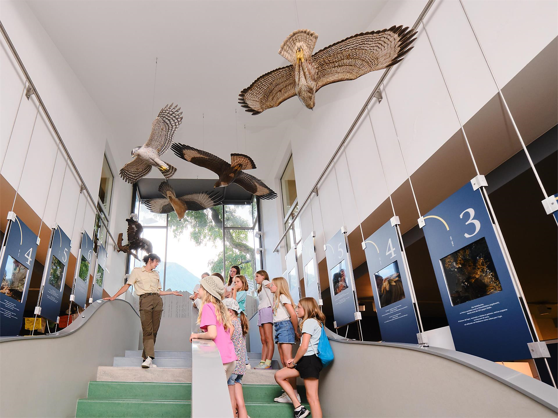 Blumen- Wiesen - Leben | Sonderausstellung - Ahrntal - #2 - suedtirol.info