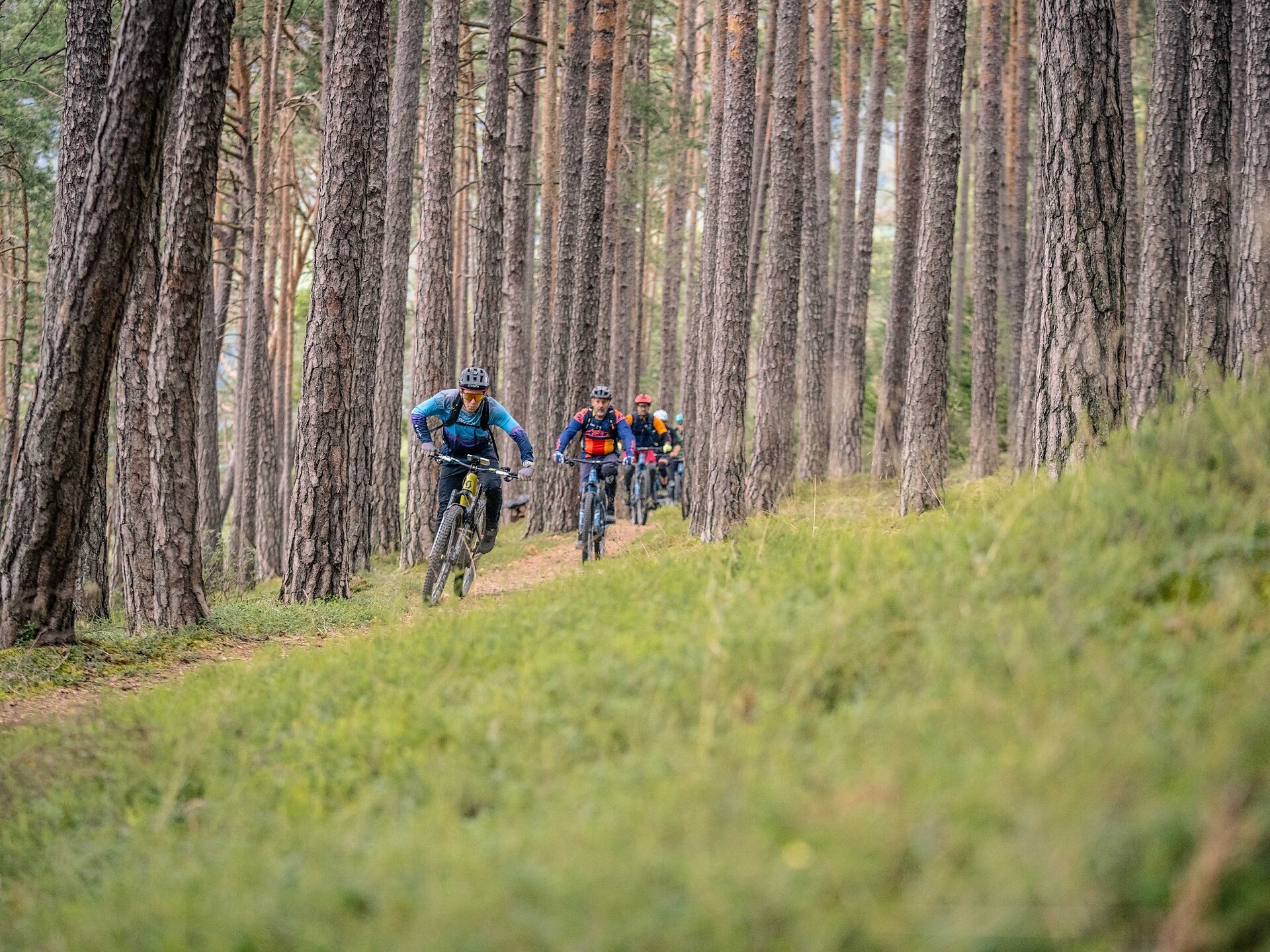 bike festa: Peppertrail - Bressanone e dintorni - #1 - suedtirol.info
