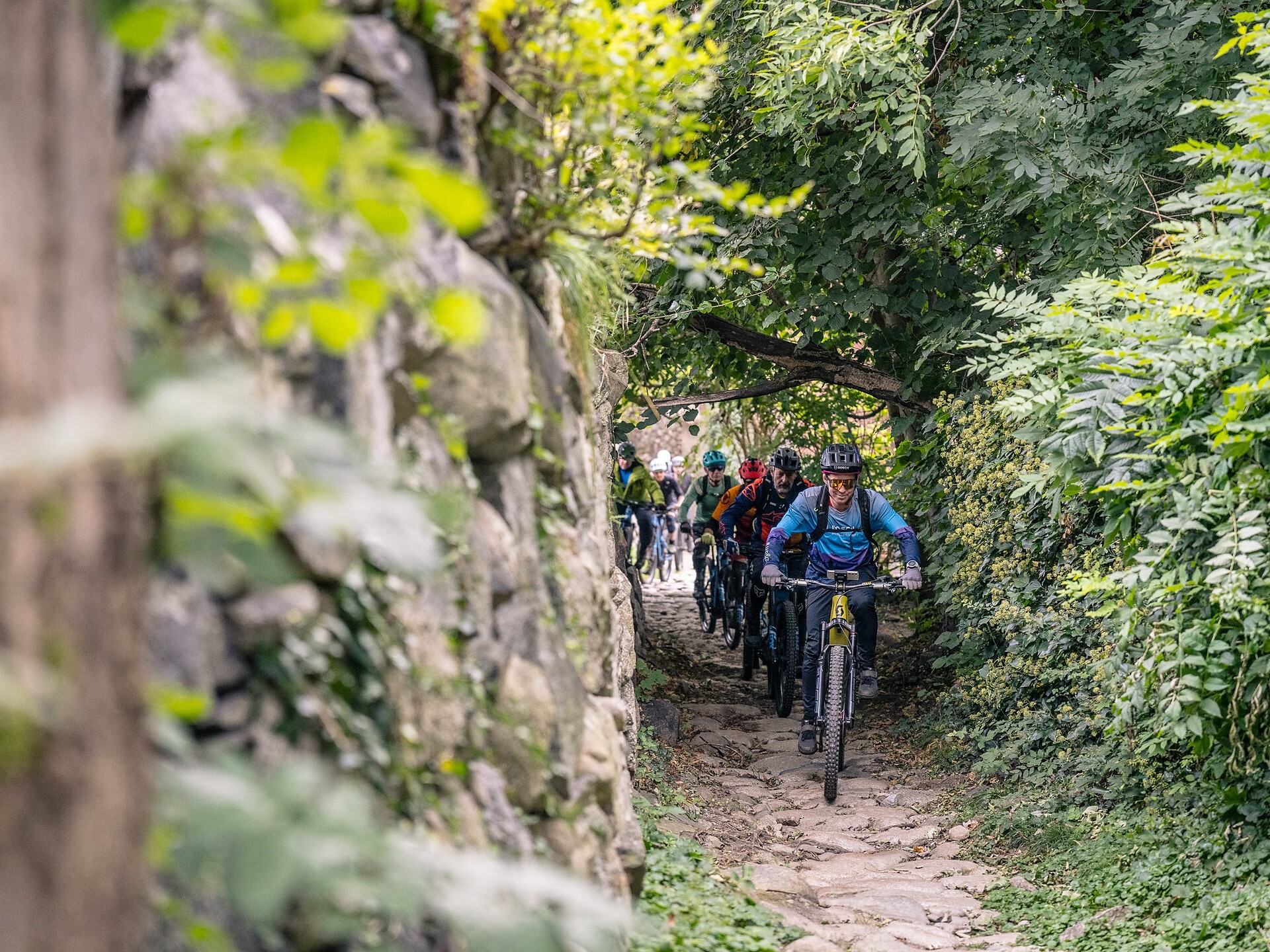 bike festa: Puschtra Freeride - Brixen/Bressanone and environs - #1 - suedtirol.info