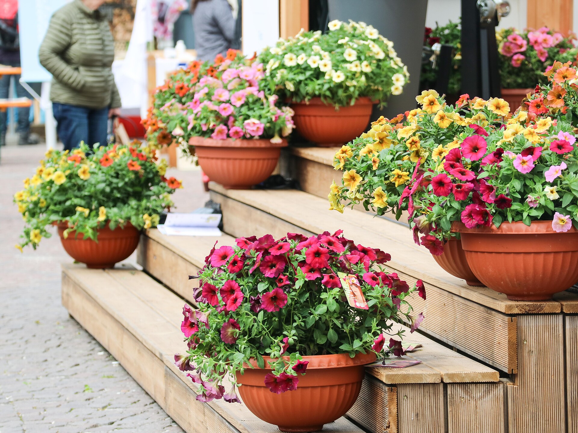 Botanische Führung mit Aperitif im Mercato Centrale - Bozen und Umgebung - #2 - suedtirol.info