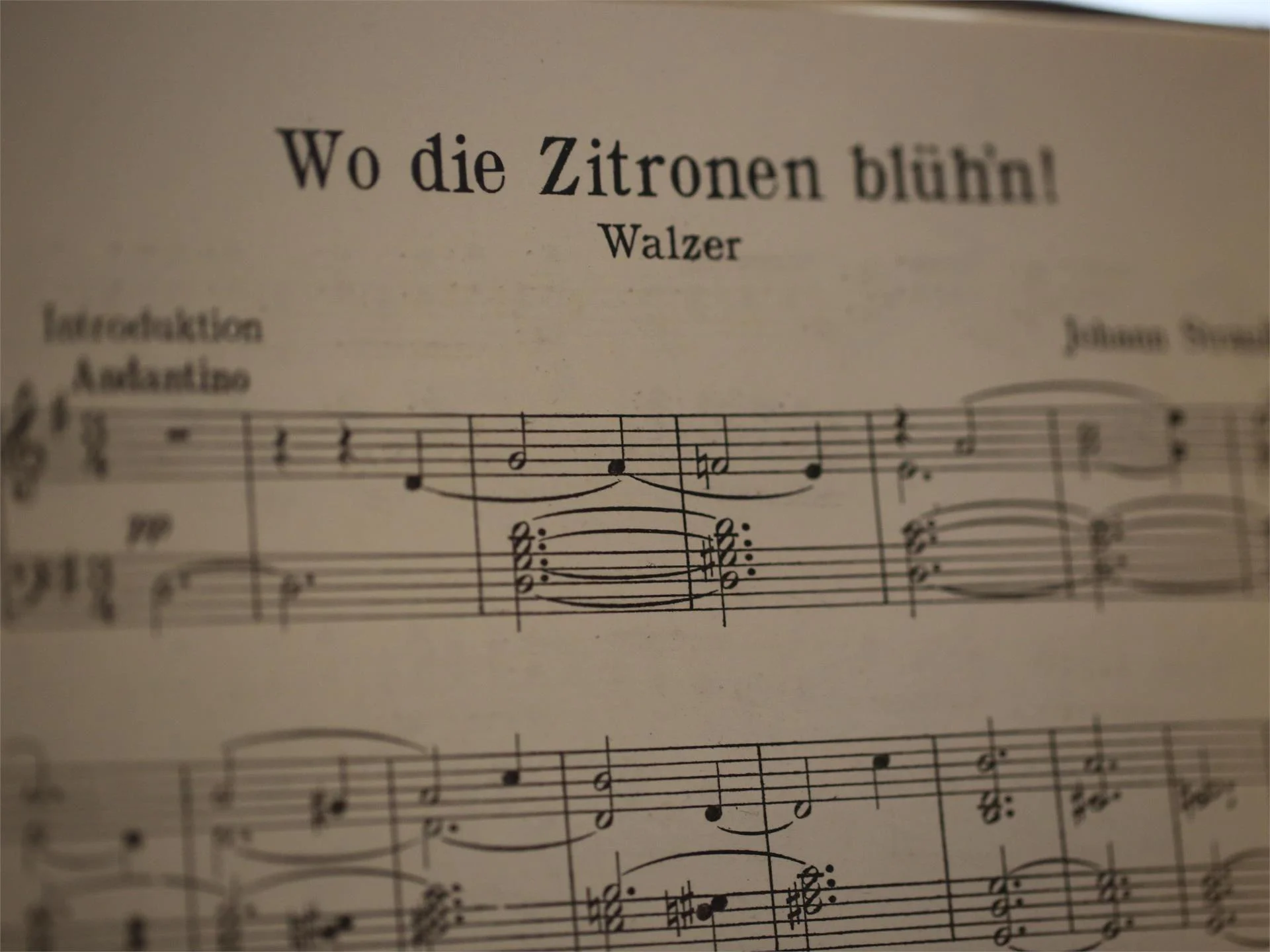 Music for wind by the "Partschinser Böhmischen" with heart and momentum Partschins/Parcines 2 suedtirol.info