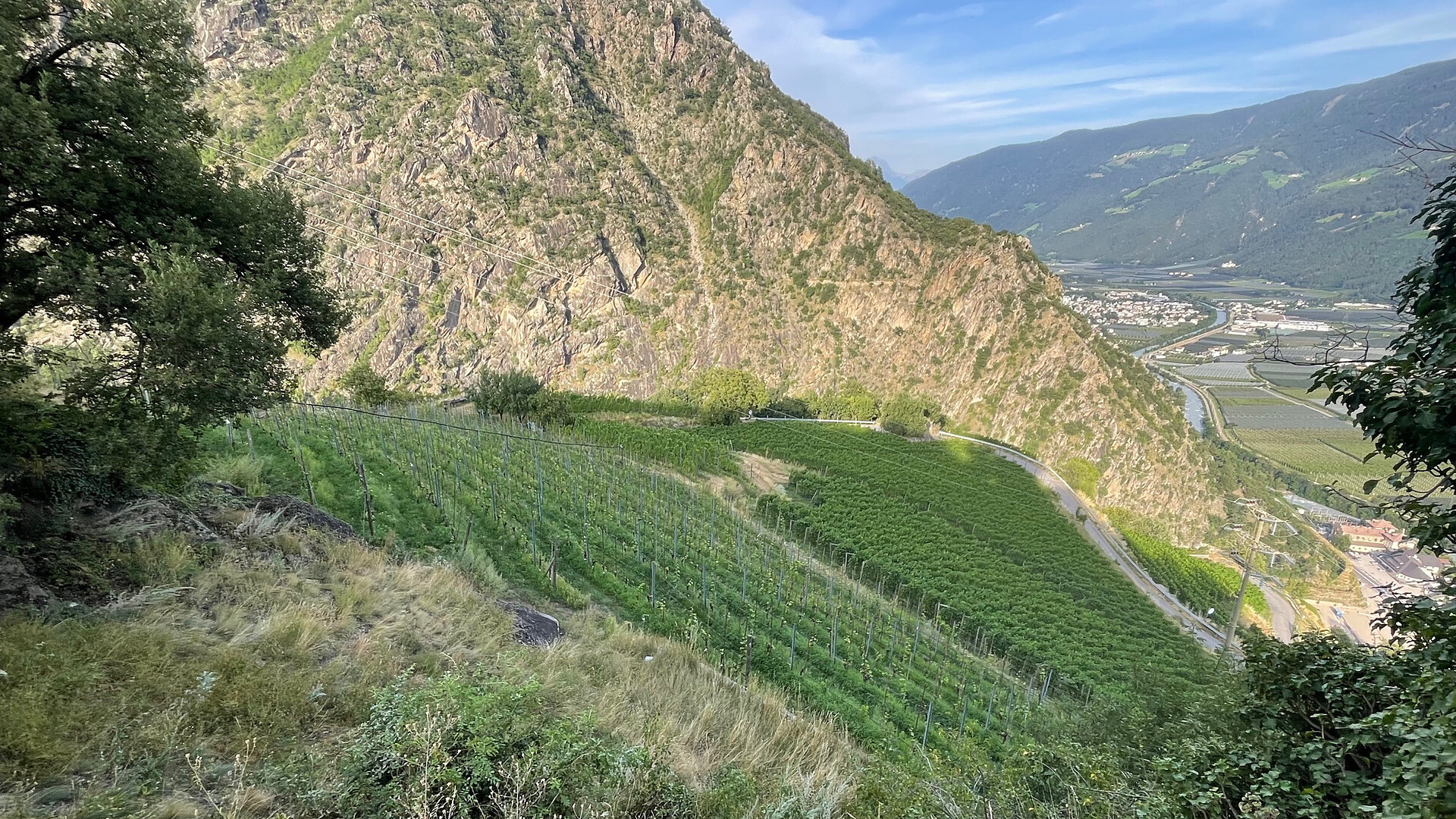Bergweinbau in Naturns - Weingut Castel Juval Unterortl - Meran und Umgebung - #4 - suedtirol.info