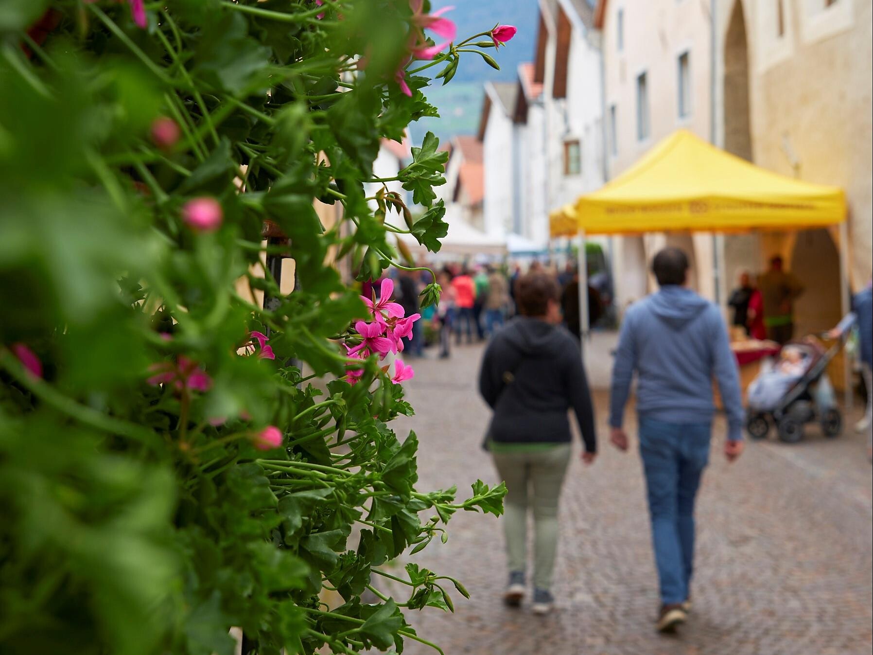 Blumen- und Gartenmarkt mit “Straßenmusi” - Vinschgau - #2 - suedtirol.info