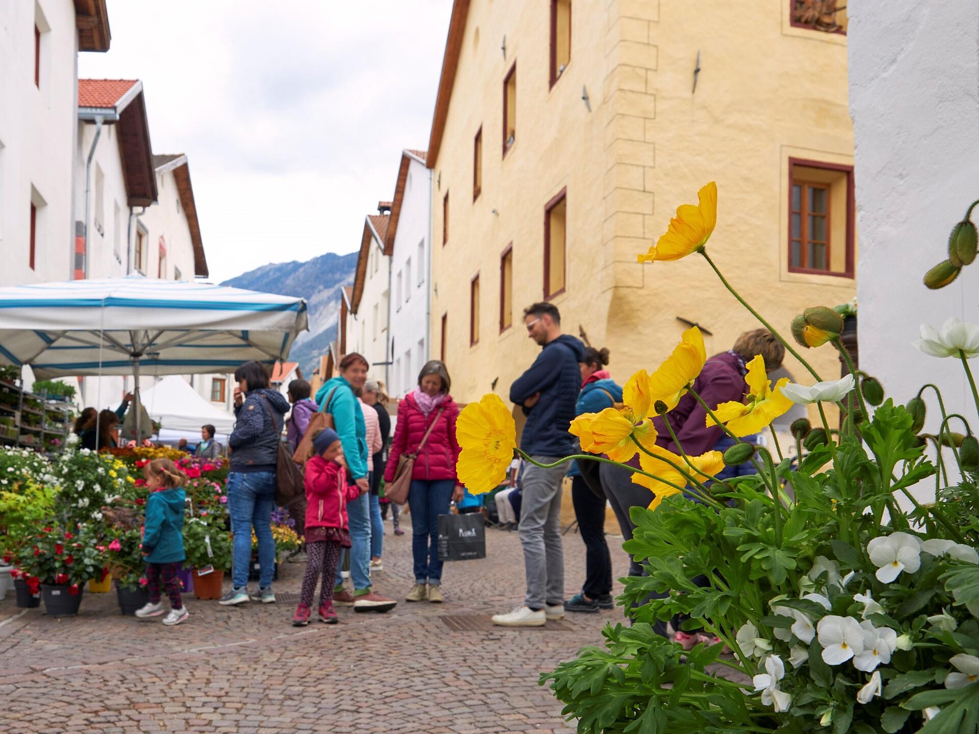 Blumen- und Gartenmarkt mit “Straßenmusi” - Vinschgau - #3 - suedtirol.info