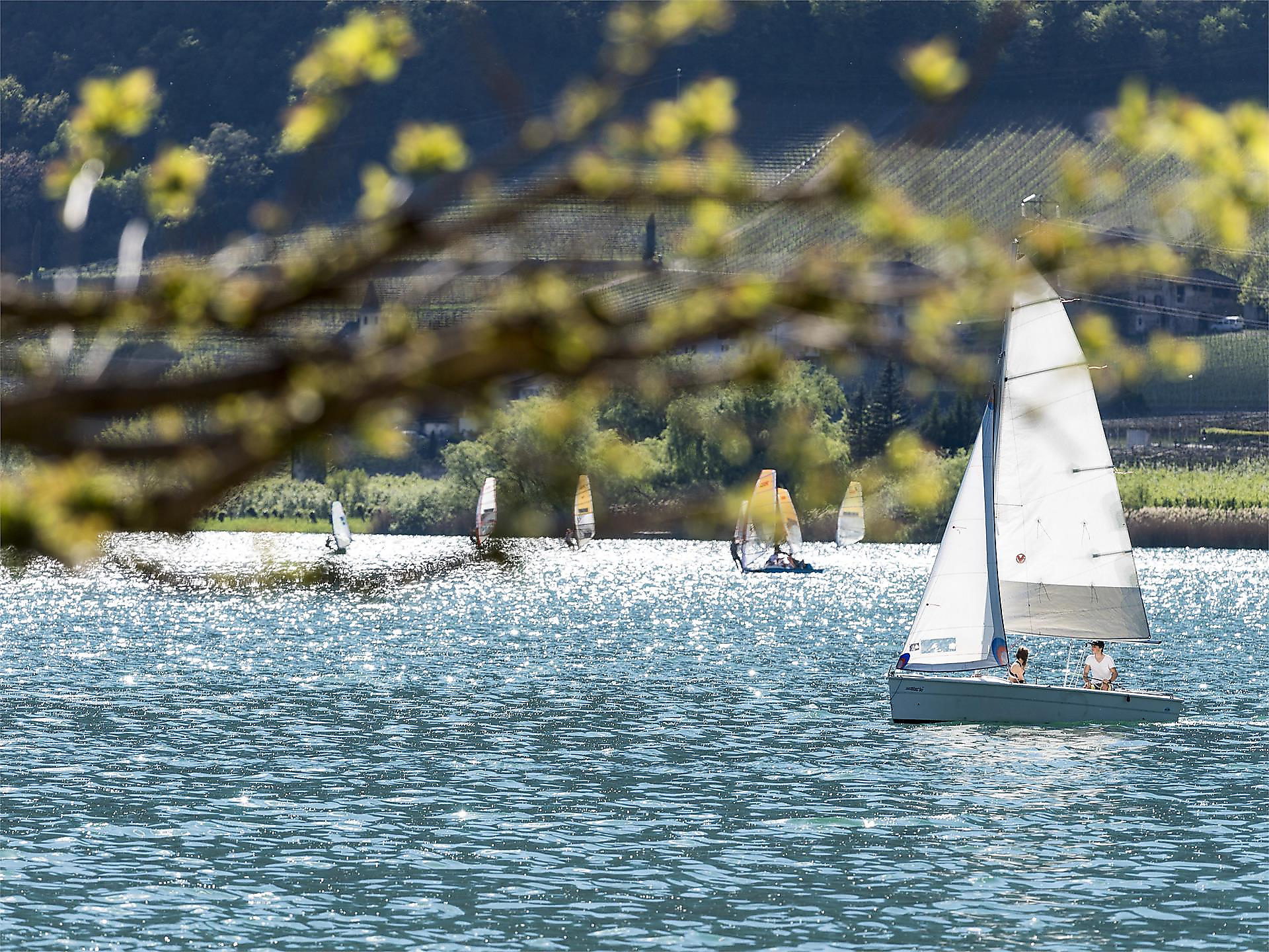 Baron Dürfeld Regatta - Yachtclub Bozen - Südtiroler Weinstraße - #1 - suedtirol.info