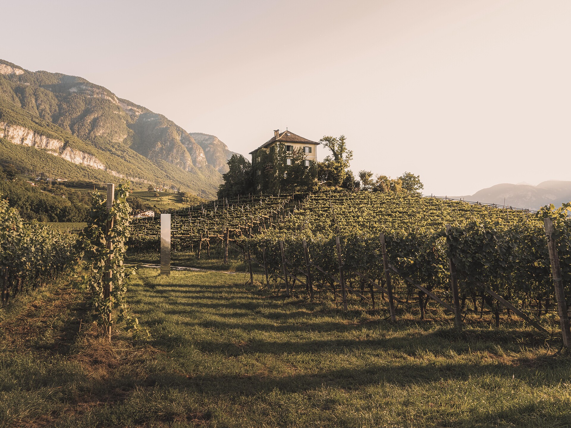 Baron Longo – Begegnungen im Weinberg (private Führung) - Südtiroler Weinstraße - #3 - suedtirol.info