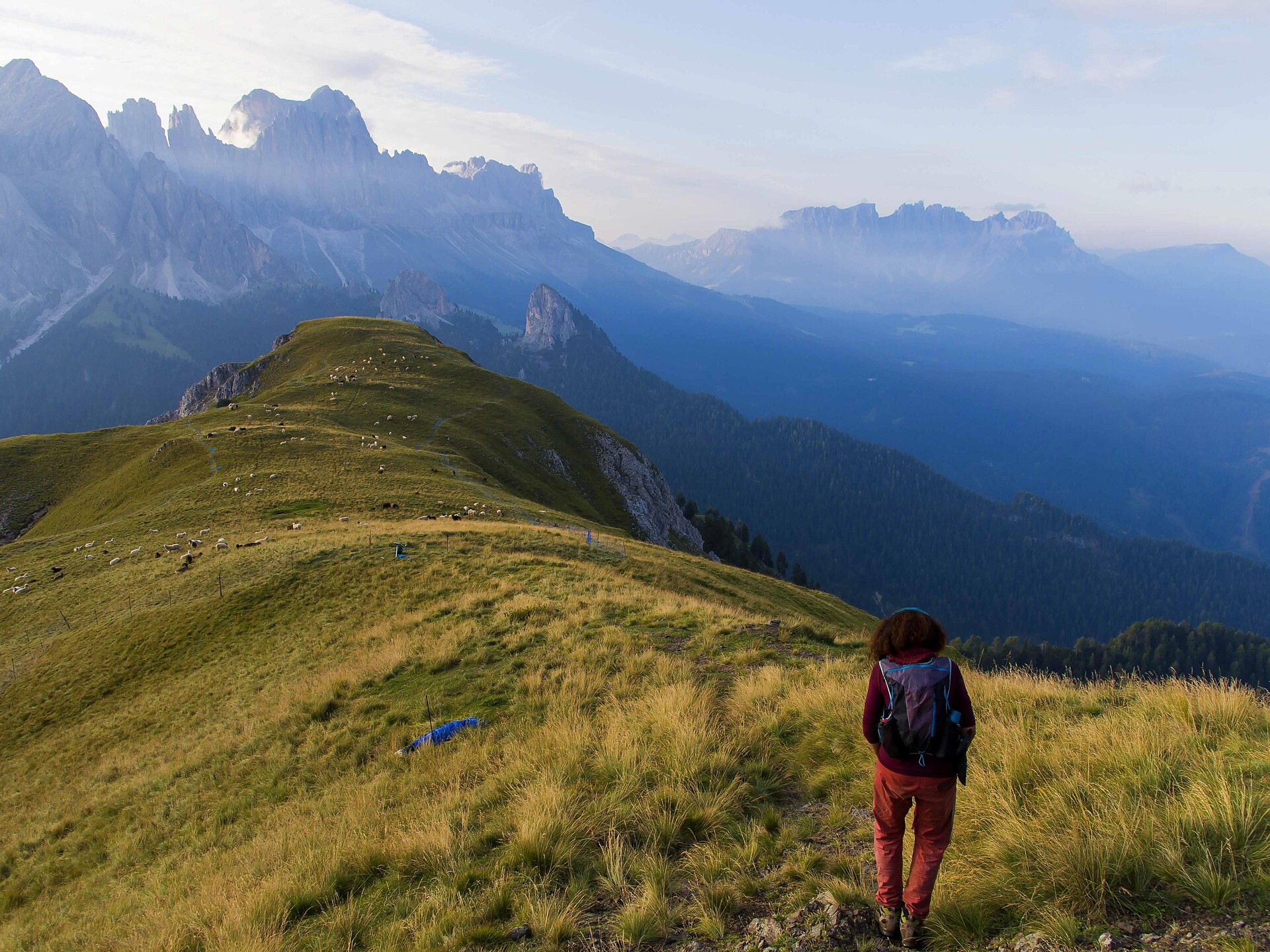 Camminata di coscienza con Michaela Prister - Regione dolomitica Alpe di Siusi - #1 - suedtirol.info