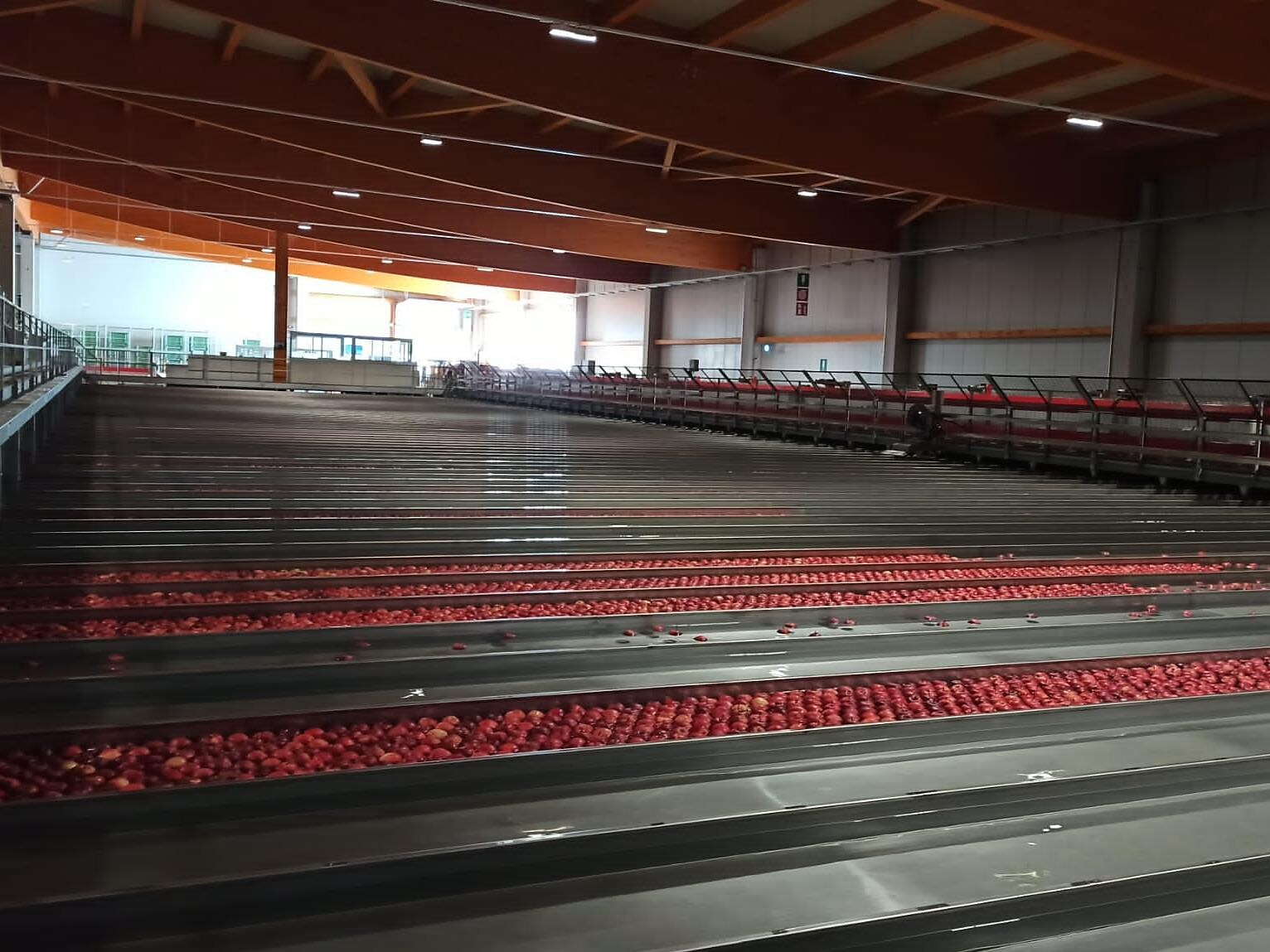 Besichtigung der Frubona Obstgenossenschaft Terlan Terlan 3 suedtirol.info
