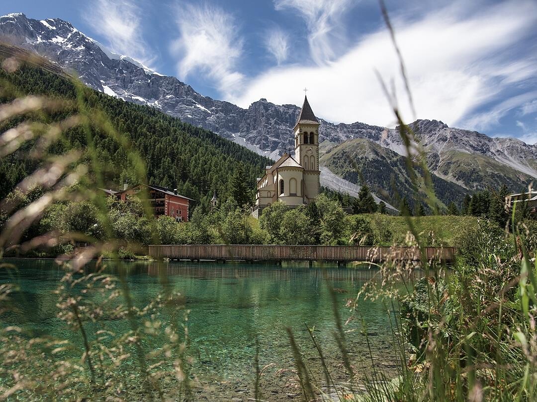 Botanische Führung "Was wächst denn da?" in Sulden Stilfs 1 suedtirol.info