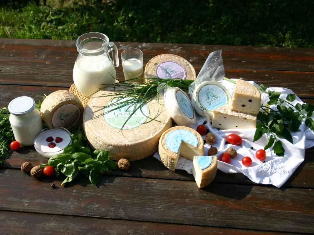 Visit to the Gatscher cheese dairy farm Kiens/Chienes 2 suedtirol.info
