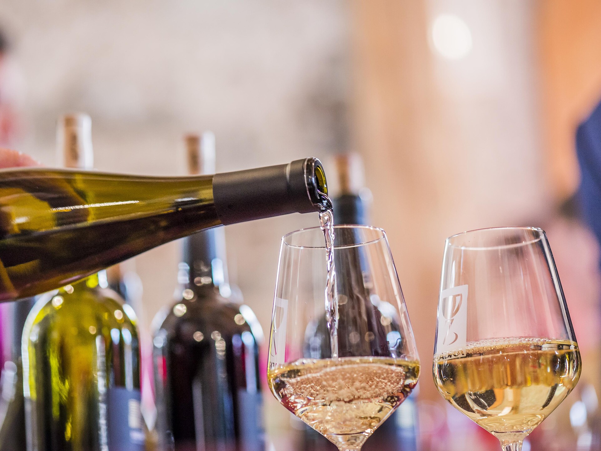Visita guidata con aperitivo all'insegno del radicchio nel Gampen Bunker - Merano e dintorni - #1 - suedtirol.info
