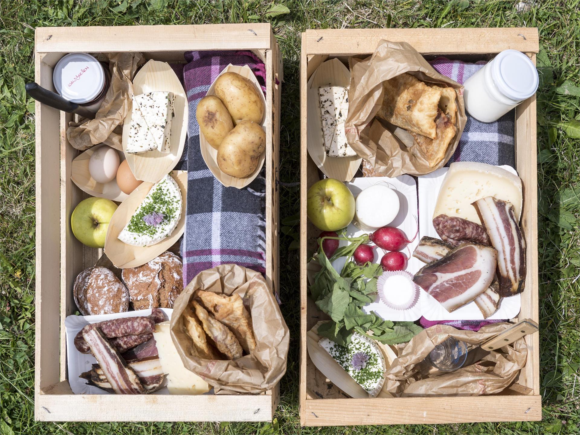 Bergler Harass – Picnic ai piedi del Catinaccio Tires al Catinaccio 3 suedtirol.info