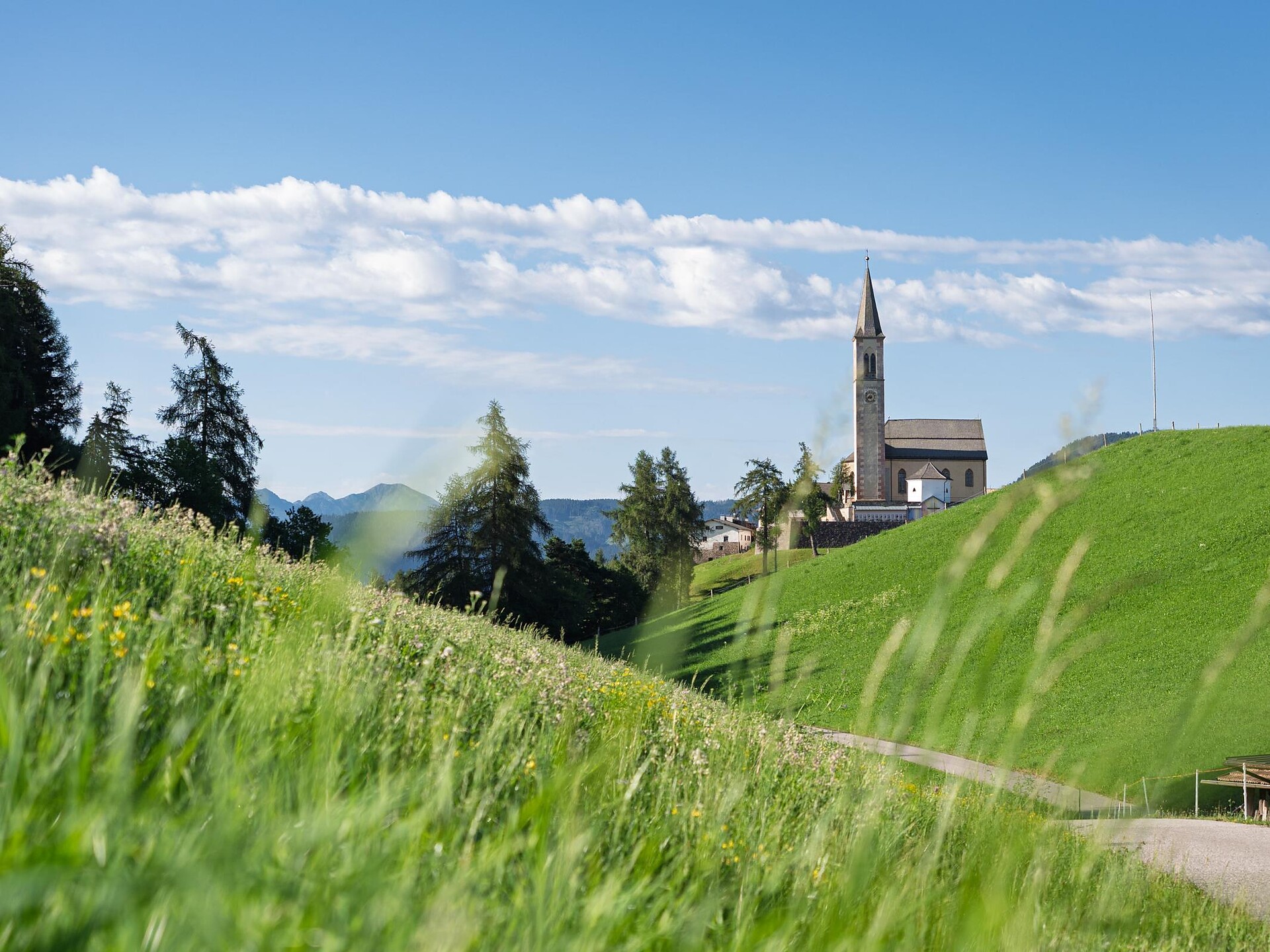 Visita al Museo Civico di Aldino – "Il Tesoro del Thalhof" -  - #2 - suedtirol.info