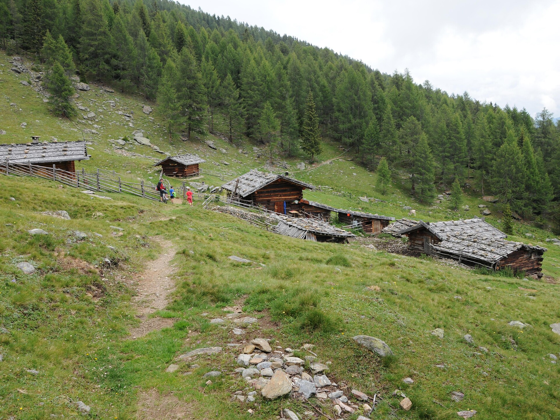 Bergwälder und urige Almen - Meran und Umgebung - #3 - suedtirol.info