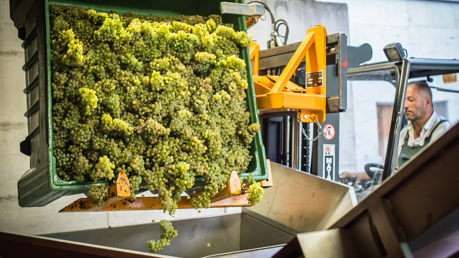 Bergweinbau in Naturns - Weingut Falkenstein - Meran und Umgebung - #2 - suedtirol.info