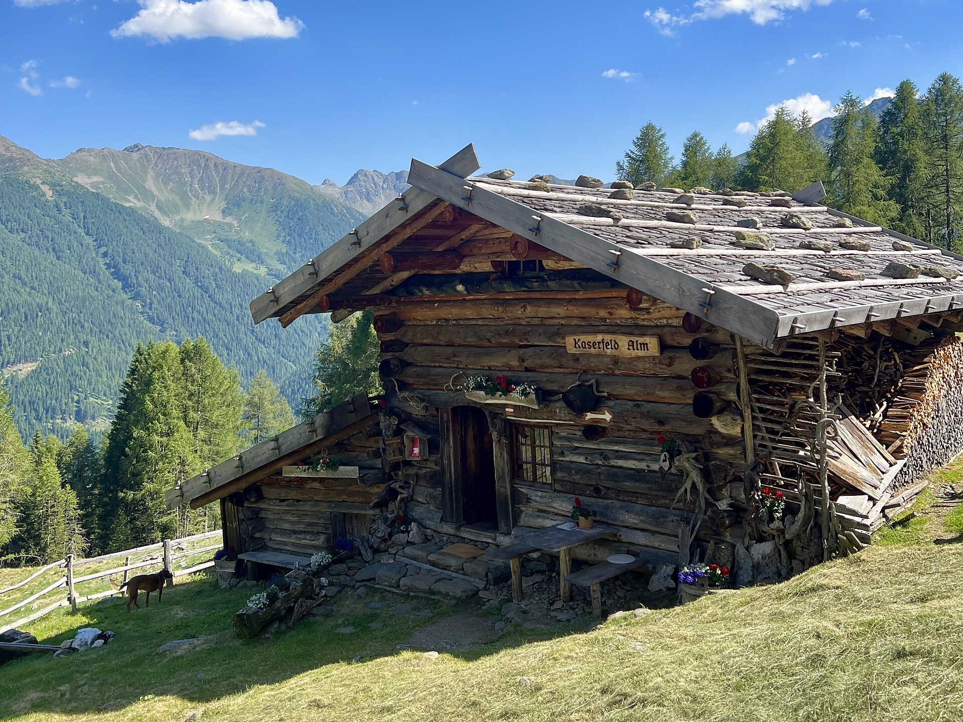 Colazione in montagna della Val d'Ultimo - a 1.965 m - Merano e dintorni - #1 - suedtirol.info