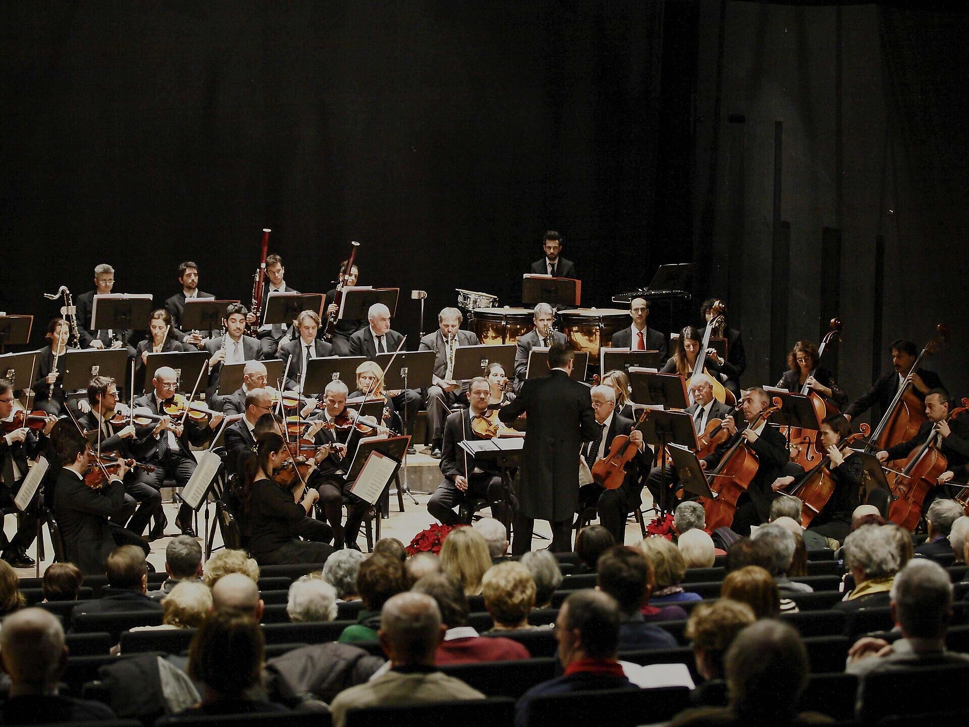 Bryorchestra Concert - Dolomites Region 3 Zinnen - #1 - suedtirol.info