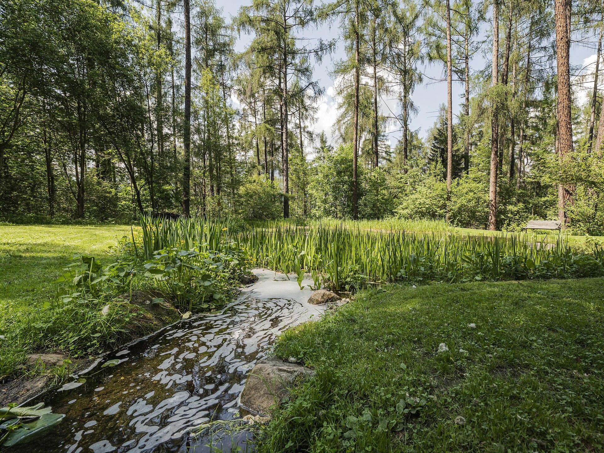 Body & Mind - Natura, movimento ed equilibrio a Brunico - Regione dolomitica Plan de Corones - #2 - suedtirol.info